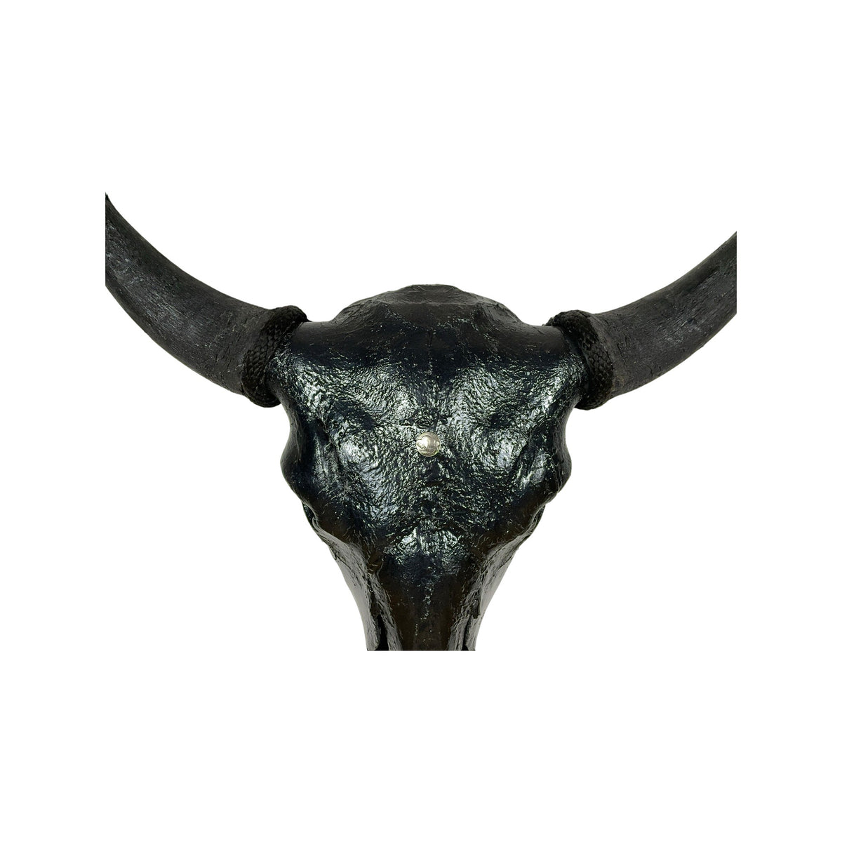 A Home Decor Taxidermy Bison Black Hammered Finish Painted Skull of Grade Respectable