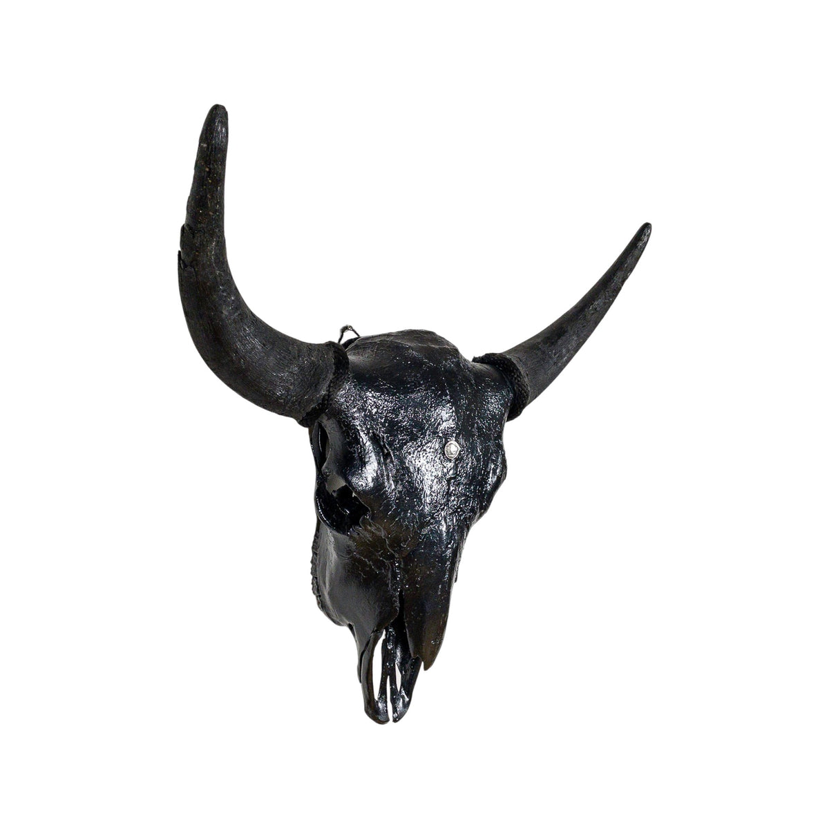 A Home Decor Taxidermy Bison Black Hammered Finish Painted Skull of Grade Respectable