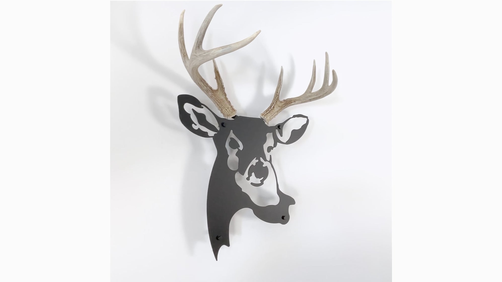 Load video: A video showing Dekor Nature Antlers &amp; Metal Wall Decors in real life
