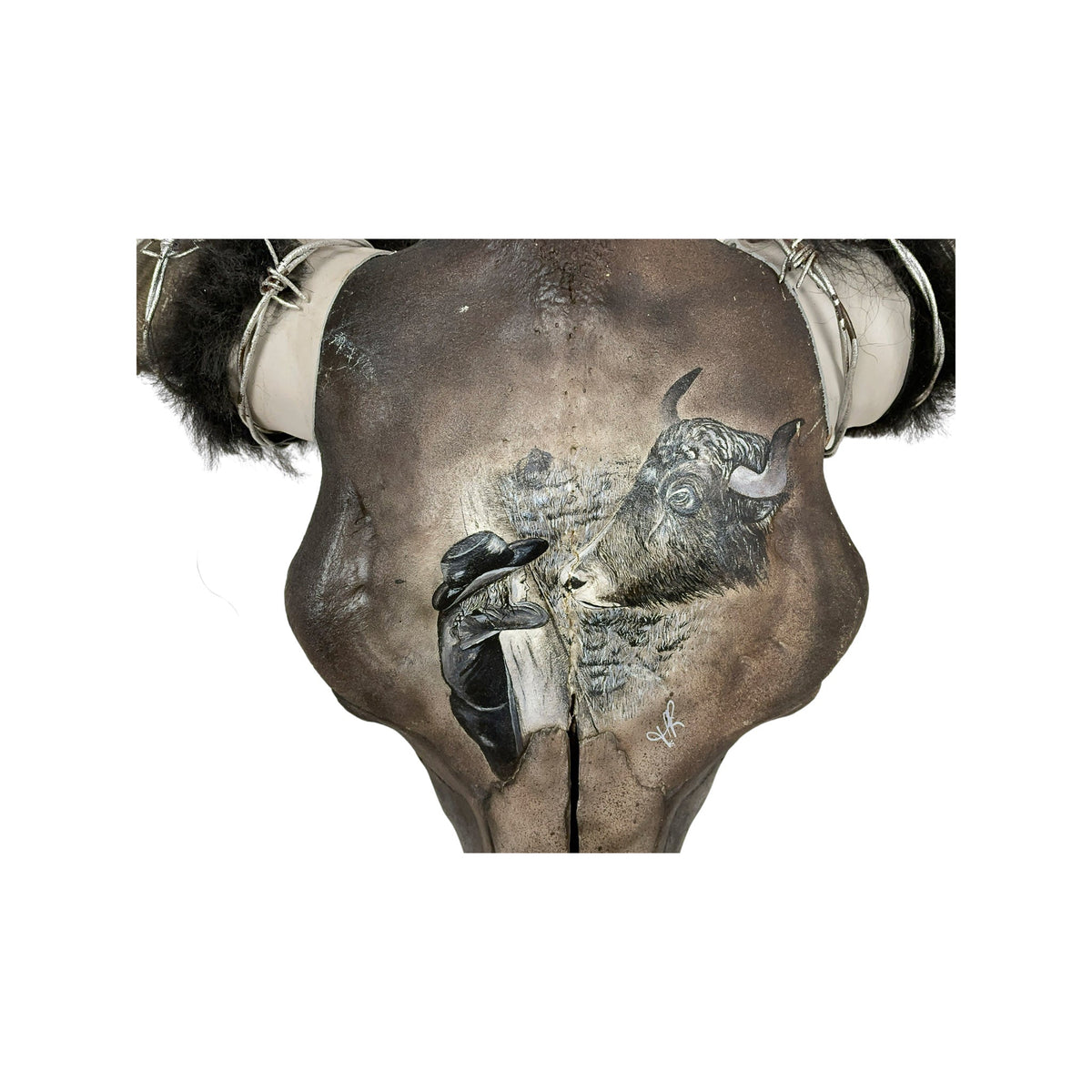 A Yak Engraved Skull Taxidermy Wall Decor featuring a Yak and a young girl looking at each other