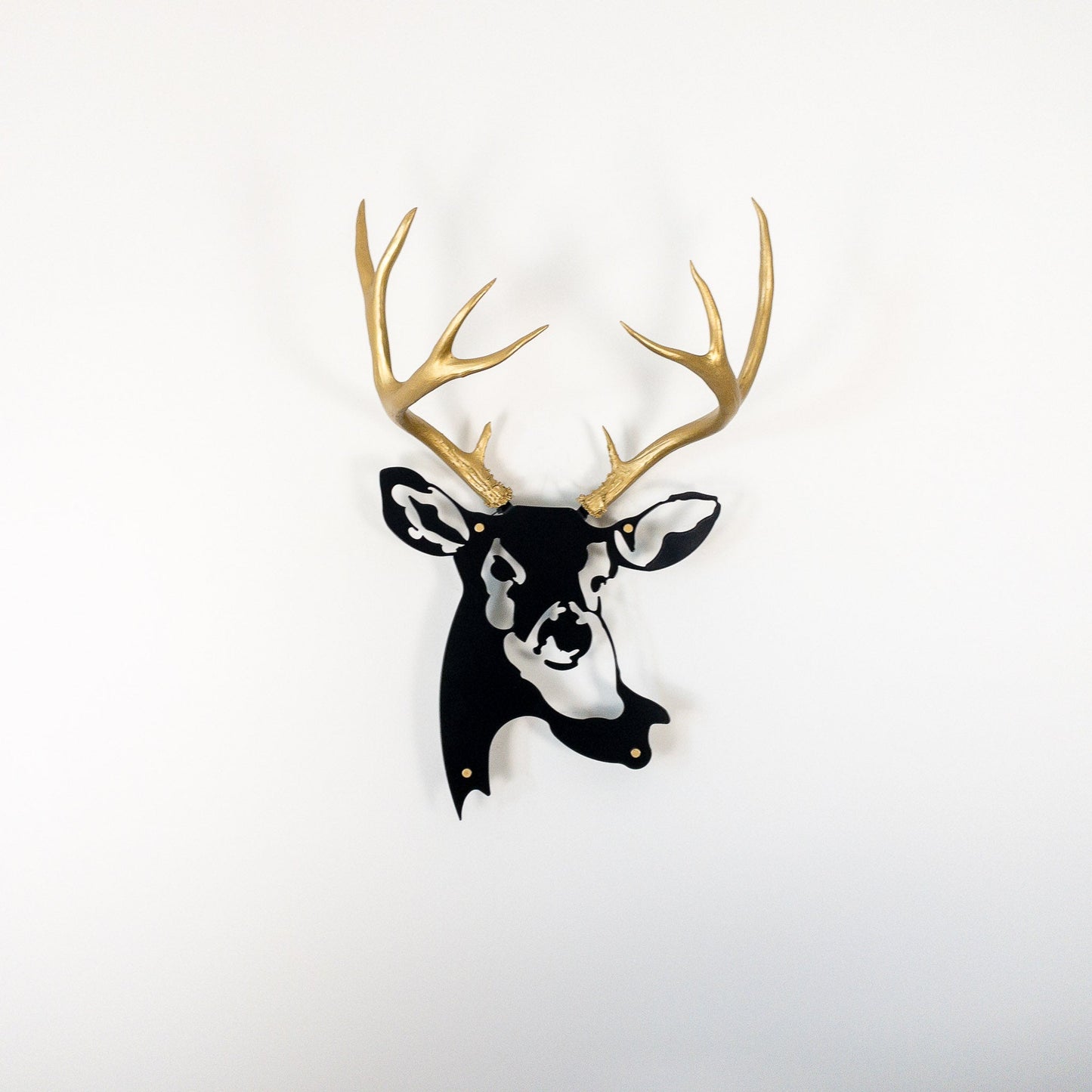 A metal wall decor made from real ethically sourced  Mule Deer antlers mounted on a metal head