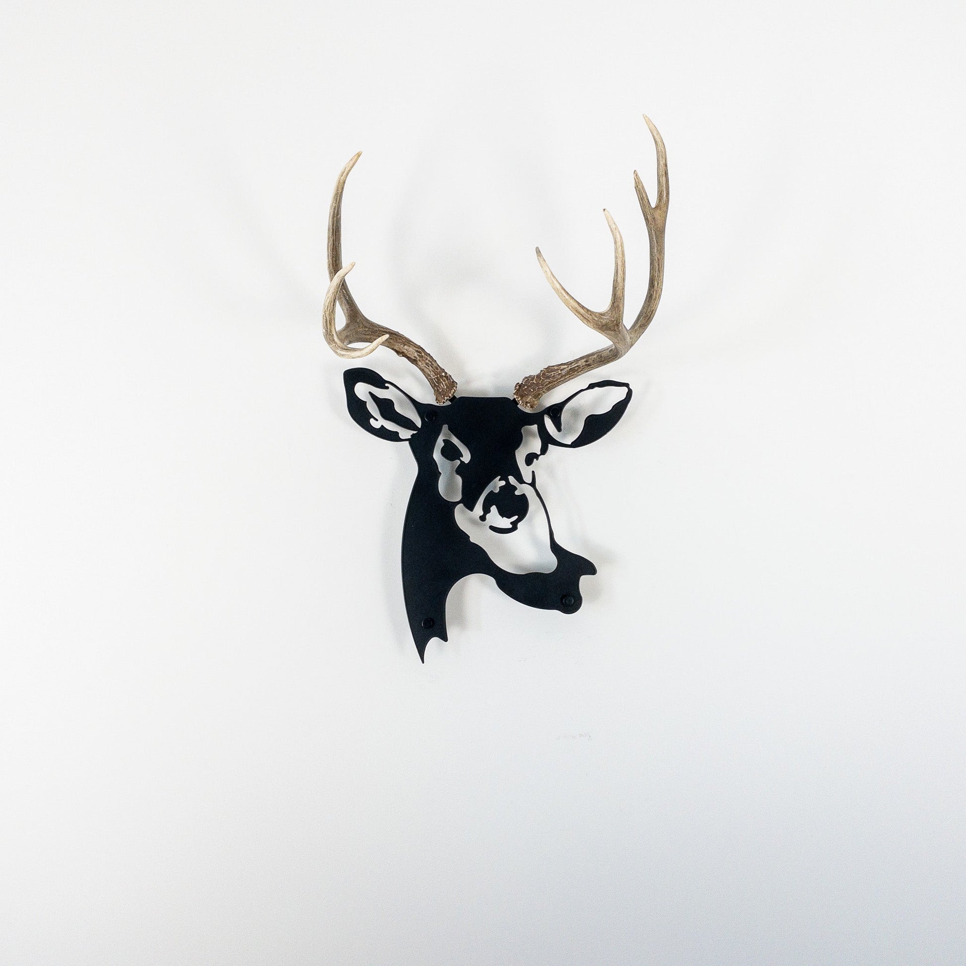 A metal wall decor made from real ethically sourced  Mule Deer antlers mounted on a metal head