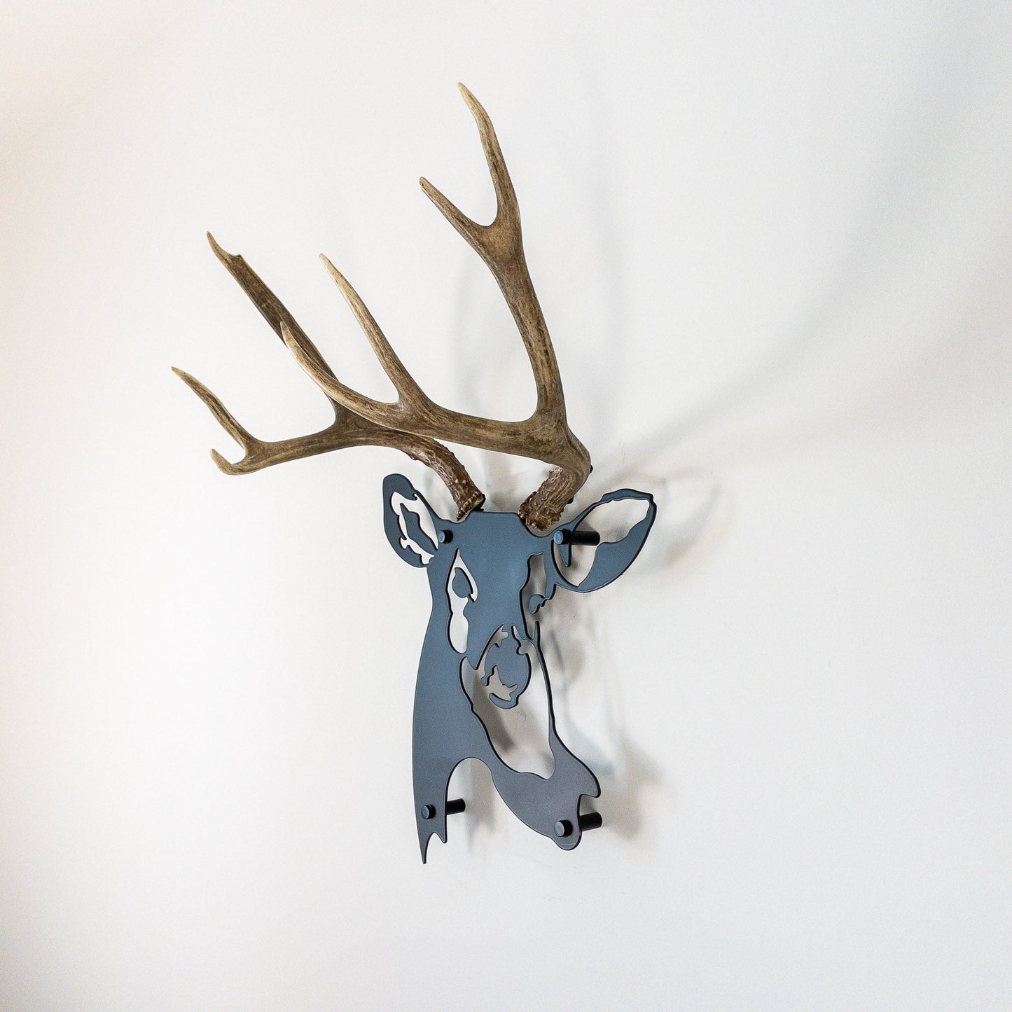 A metal wall decor made from real ethically sourced  Mule Deer antlers mounted on a metal head