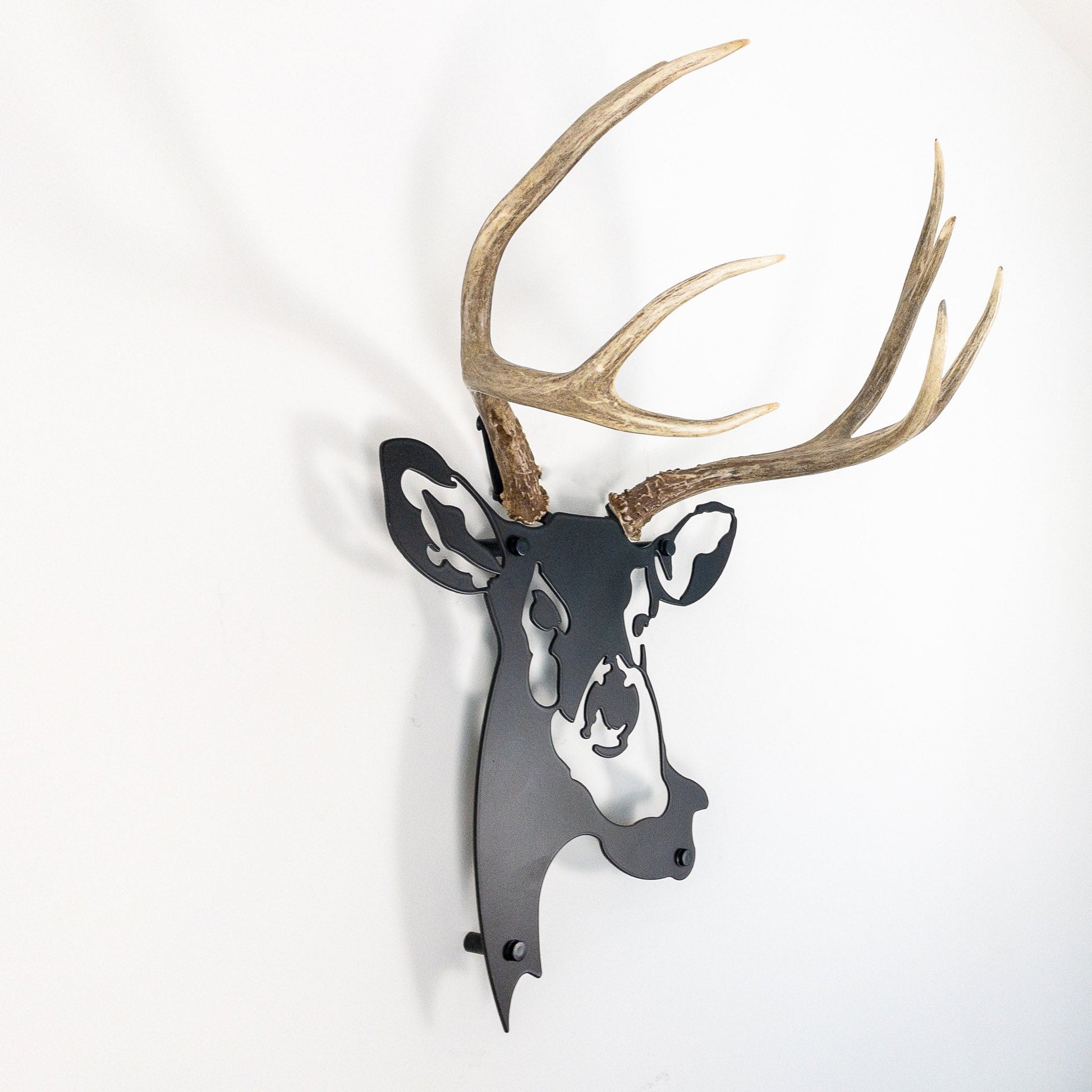 A metal wall decor made from real ethically sourced  Mule Deer antlers mounted on a metal head