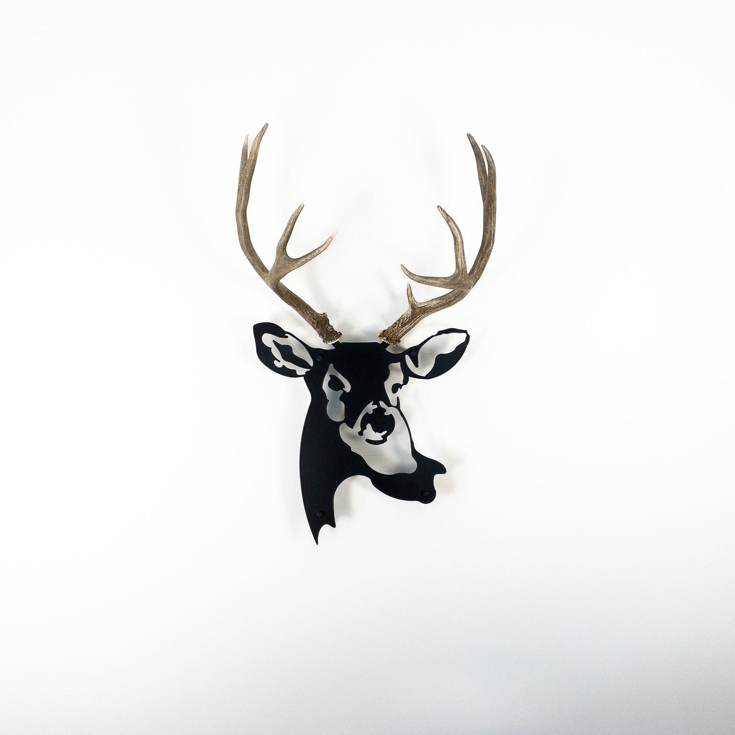 A metal wall decor made from real shed  Mule Deer antlers mounted on a metal head