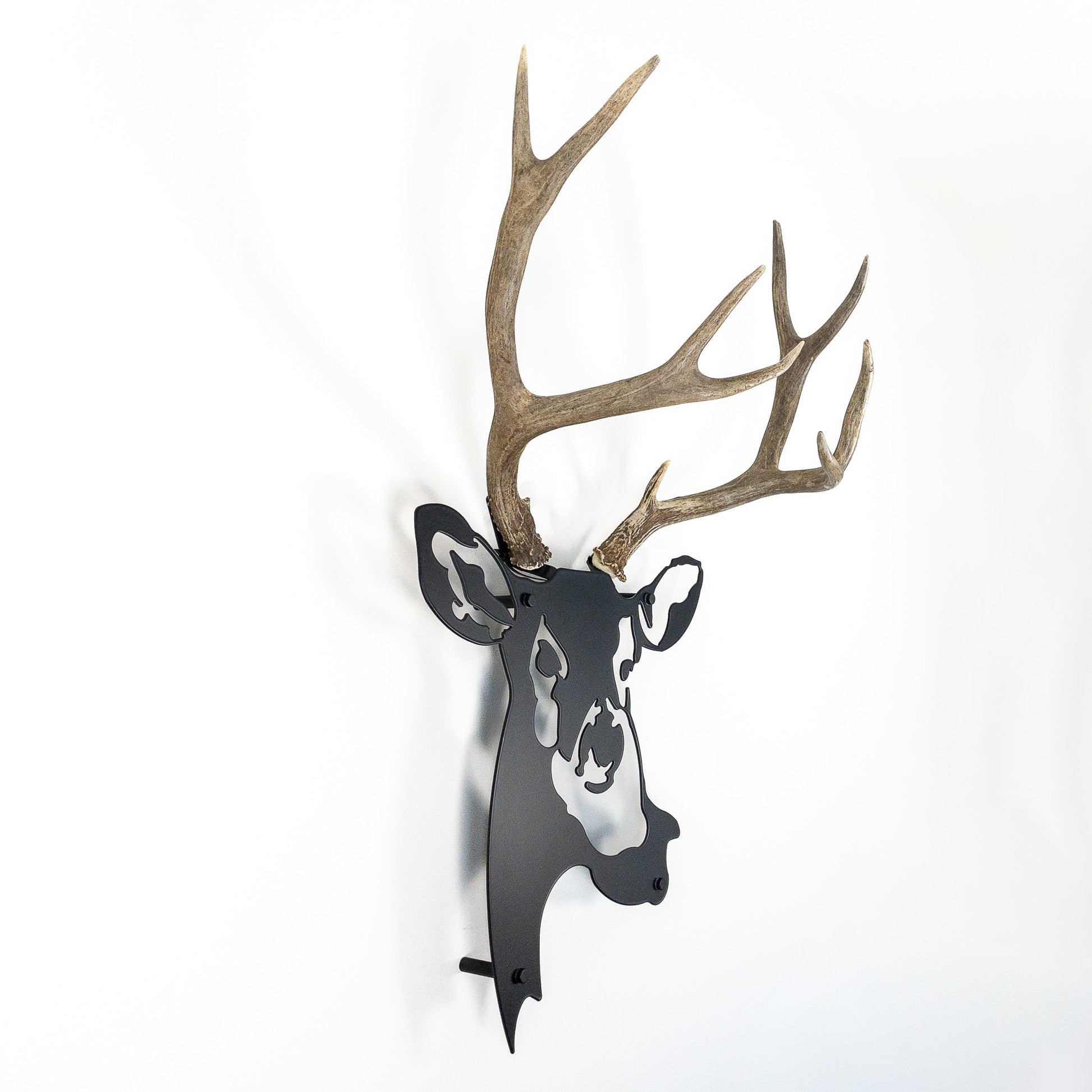 A metal wall decor made from real shed  Mule Deer antlers mounted on a metal head