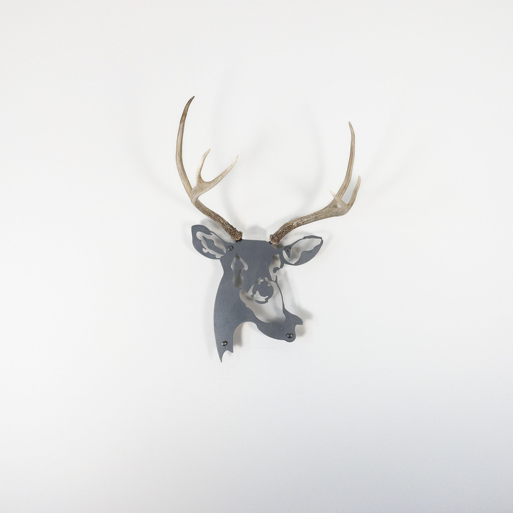 A metal wall decor made from real shed  Mule Deer antlers mounted on a metal head