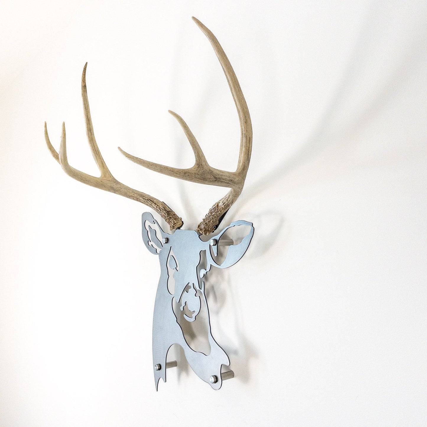 A metal wall decor made from real shed Mule Deer antlers mounted on a metal head