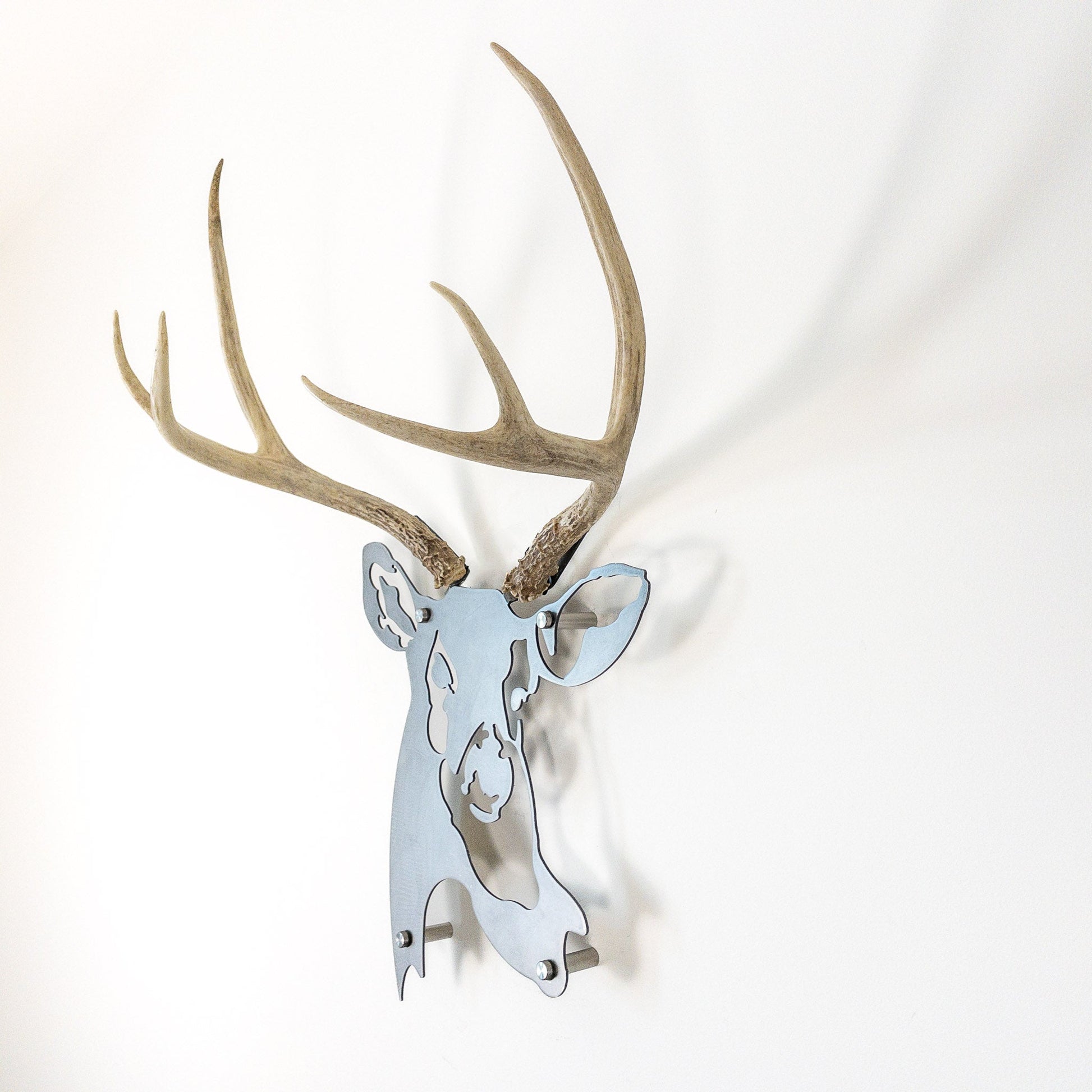 A metal wall decor made from real shed  Mule Deer antlers mounted on a metal head