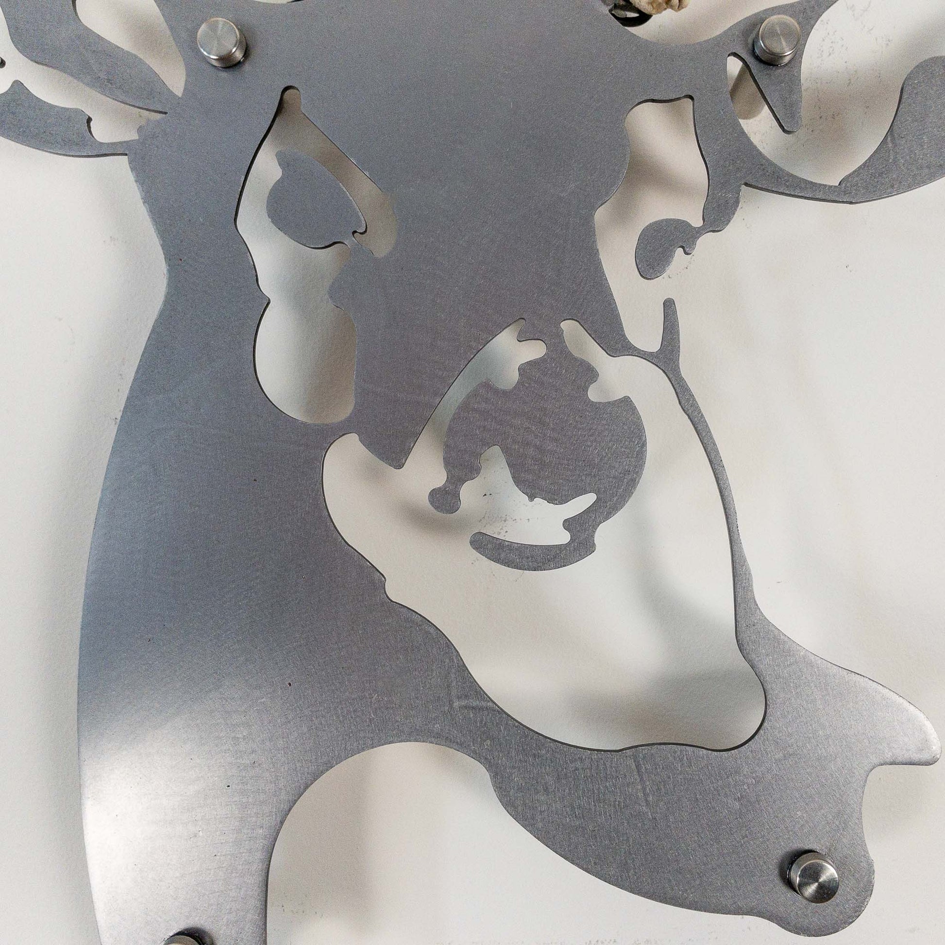 A metal wall decor made from real shed  Mule Deer antlers mounted on a metal head