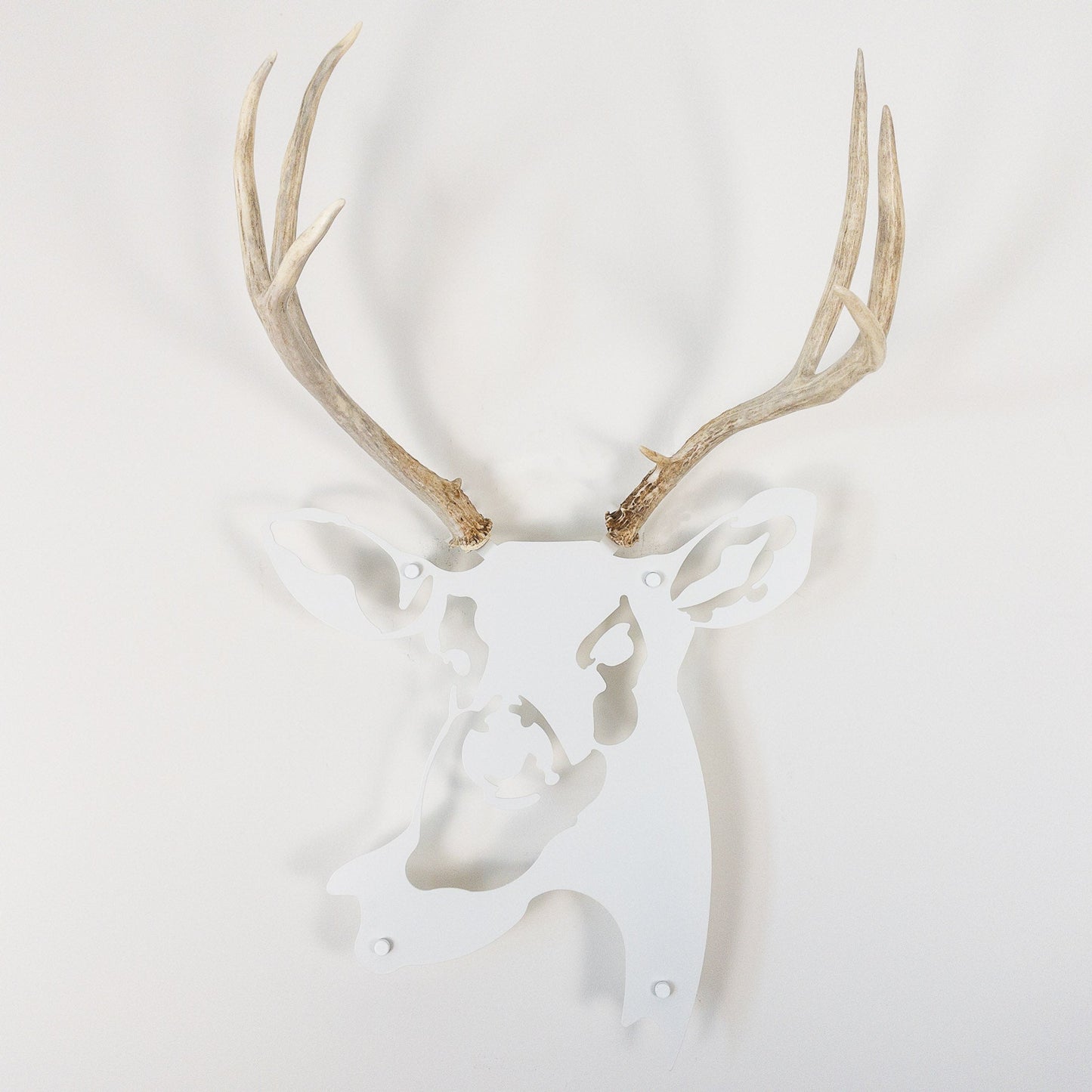 A metal wall decor made from real shed  Mule Deer antlers mounted on a metal head