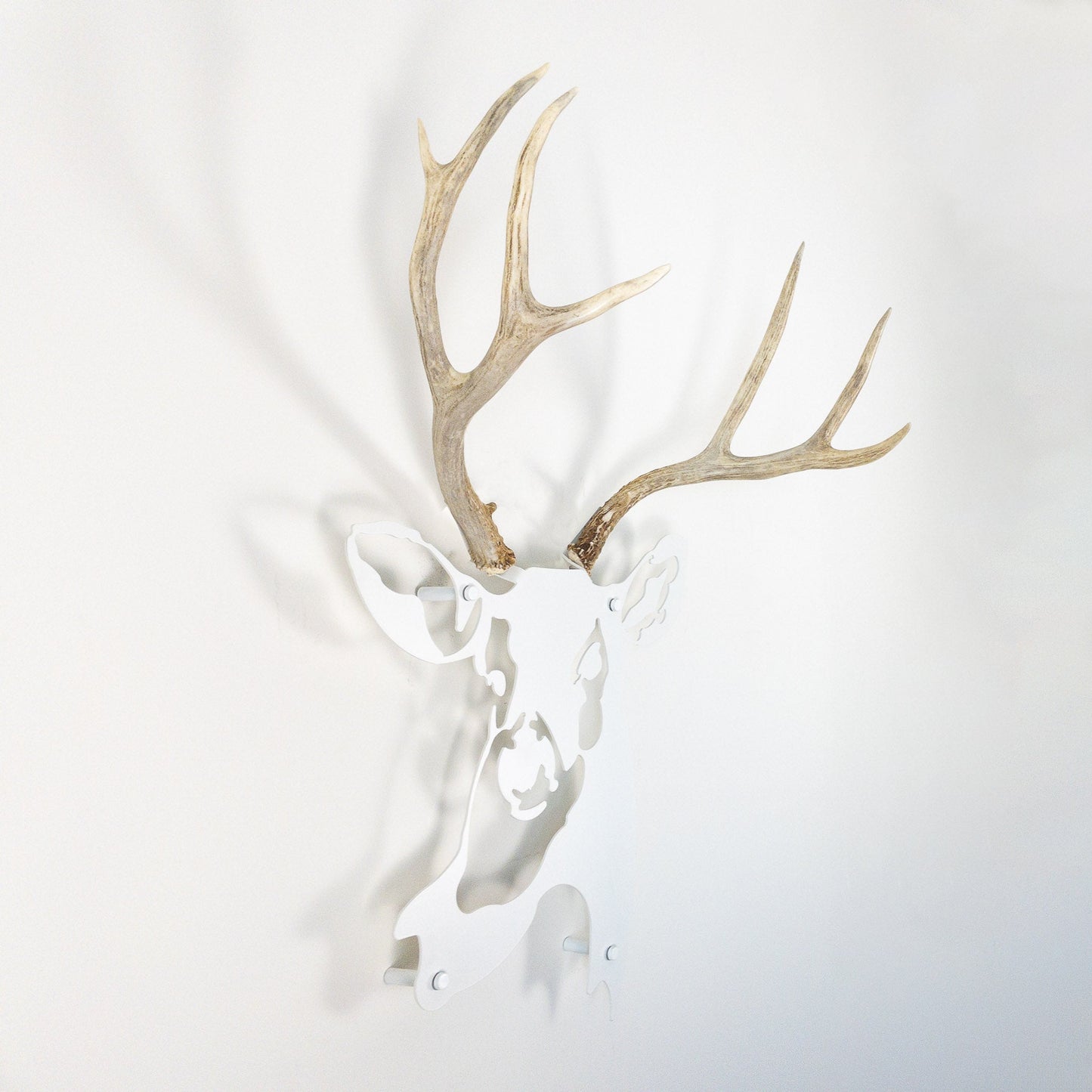 A metal wall decor made from real shed  Mule Deer antlers mounted on a metal head