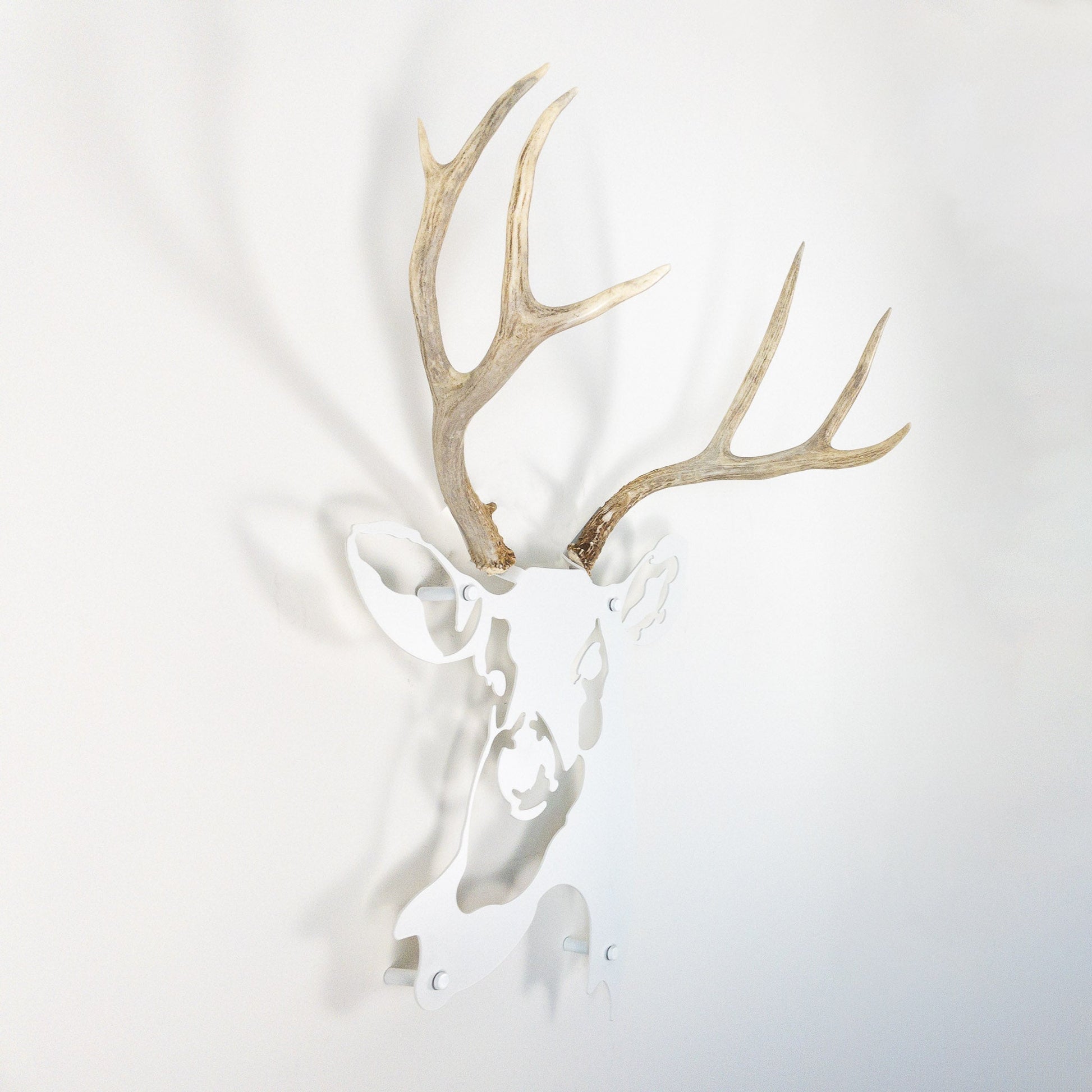 A metal wall decor made from real shed  Mule Deer antlers mounted on a metal head