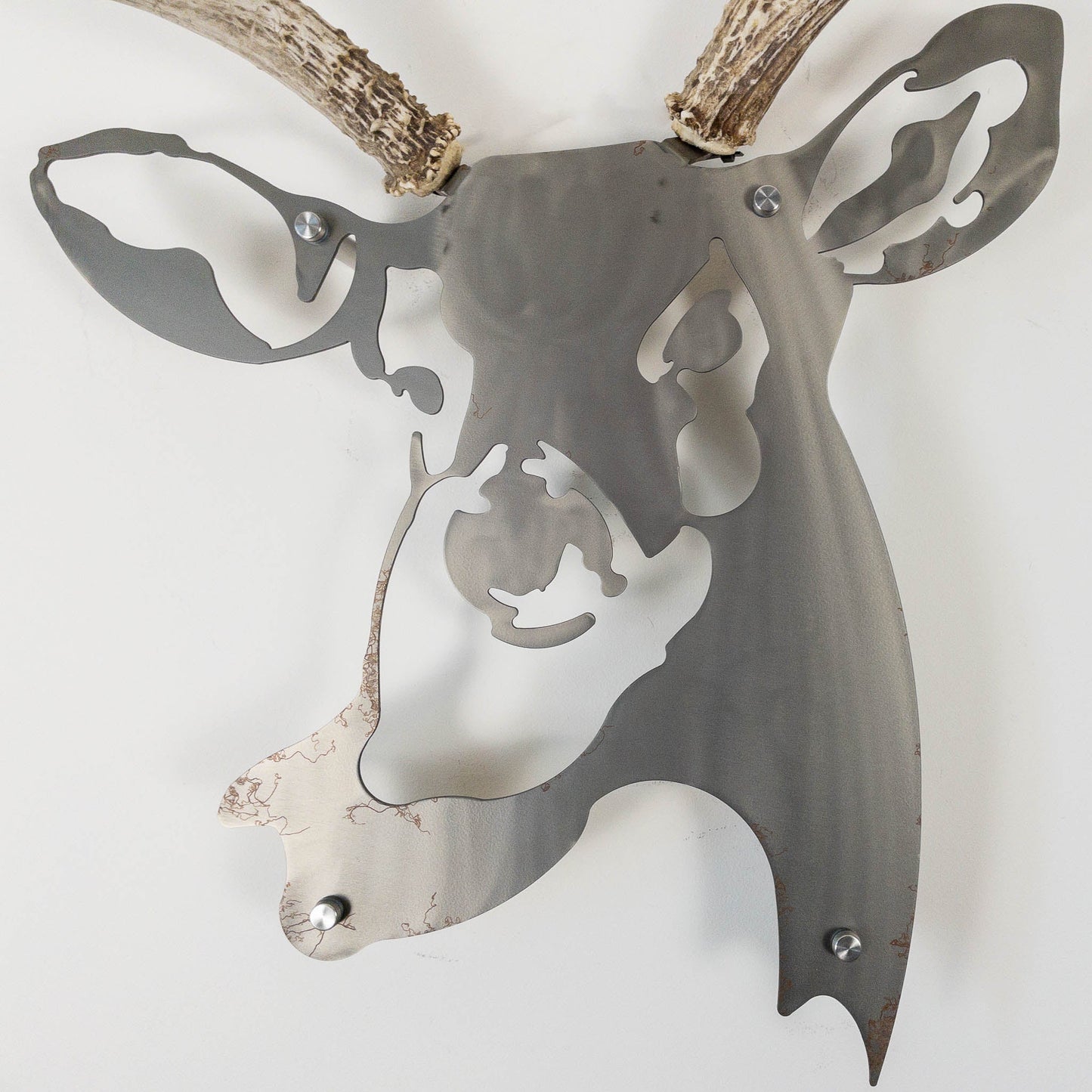 A metal wall decor made from real shed  Mule Deer antlers mounted on a metal head