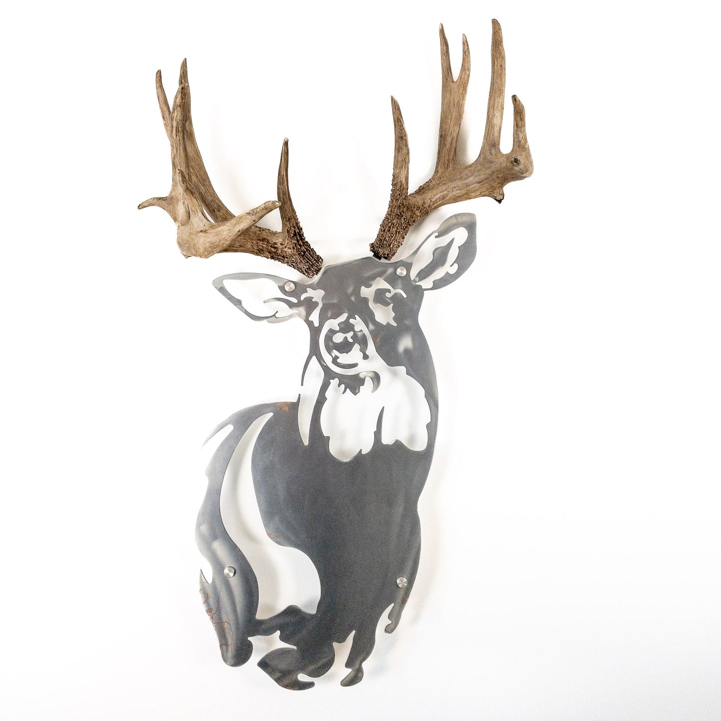 A metal wall decor made from real ethically sourced  White-Tailed Deer antlers mounted on a metal head