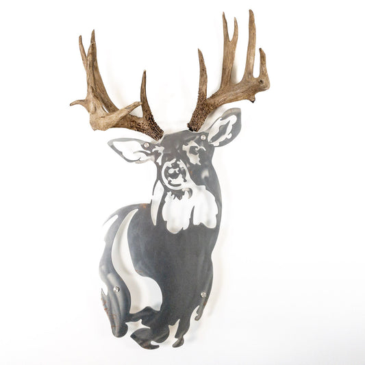 A metal wall decor made from real ethically sourced  White-Tailed Deer antlers mounted on a metal head
