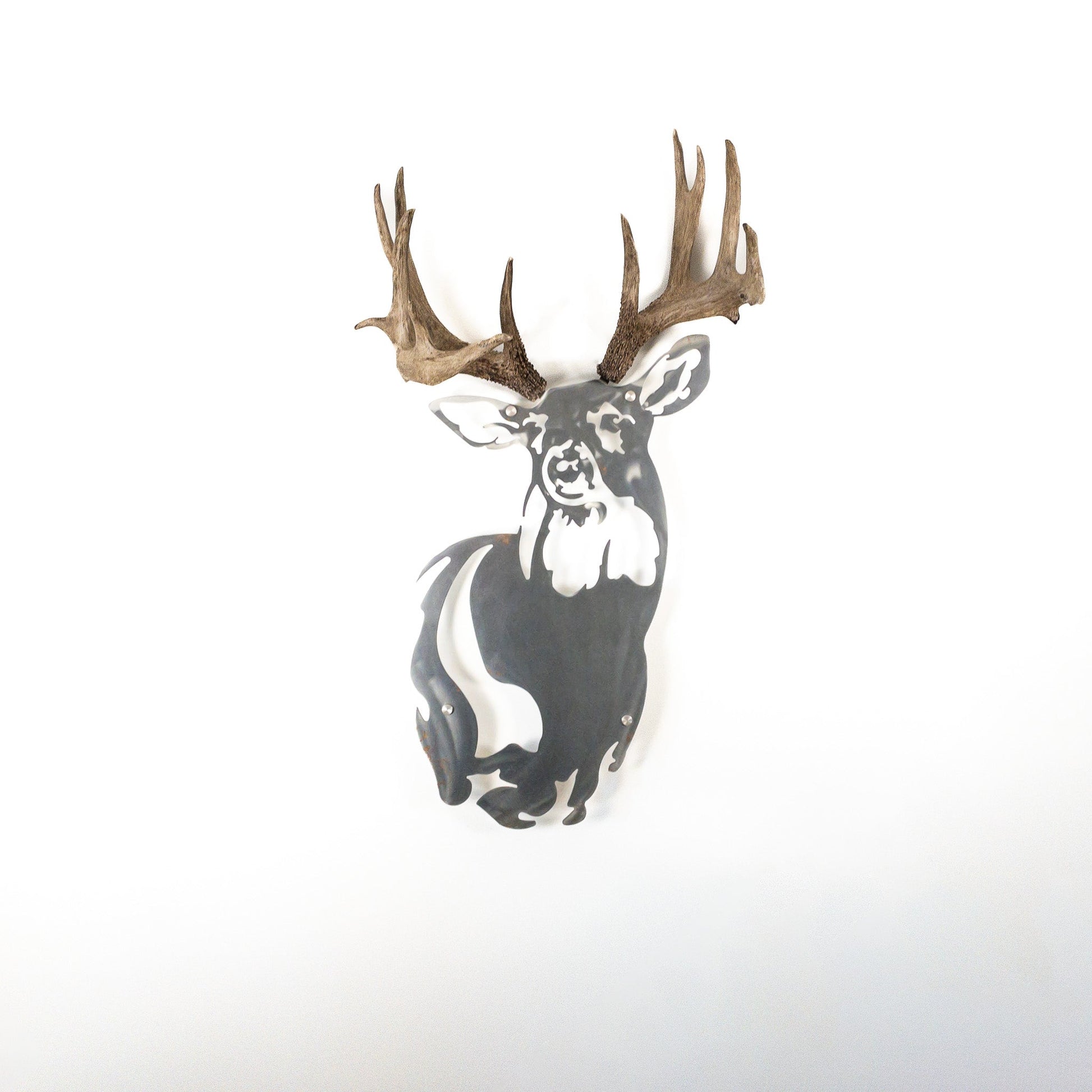 A metal wall decor made from real ethically sourced  White-Tailed Deer antlers mounted on a metal head