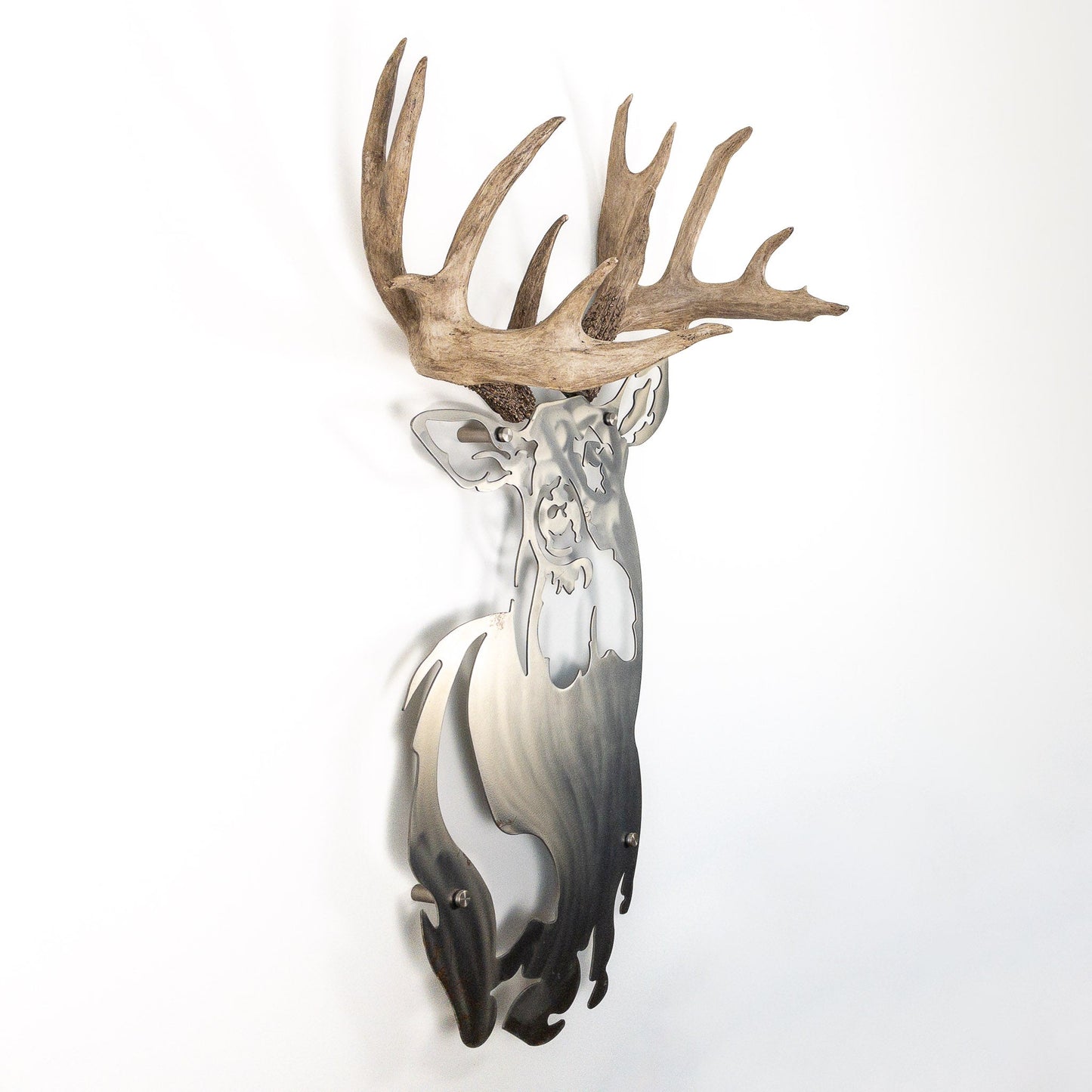 A metal wall decor made from real ethically sourced  White-Tailed Deer antlers mounted on a metal head