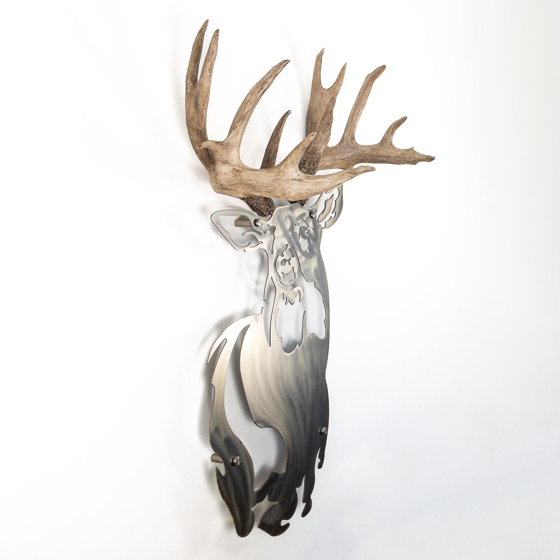 A metal wall decor made from real ethically sourced  White-Tailed Deer antlers mounted on a metal head