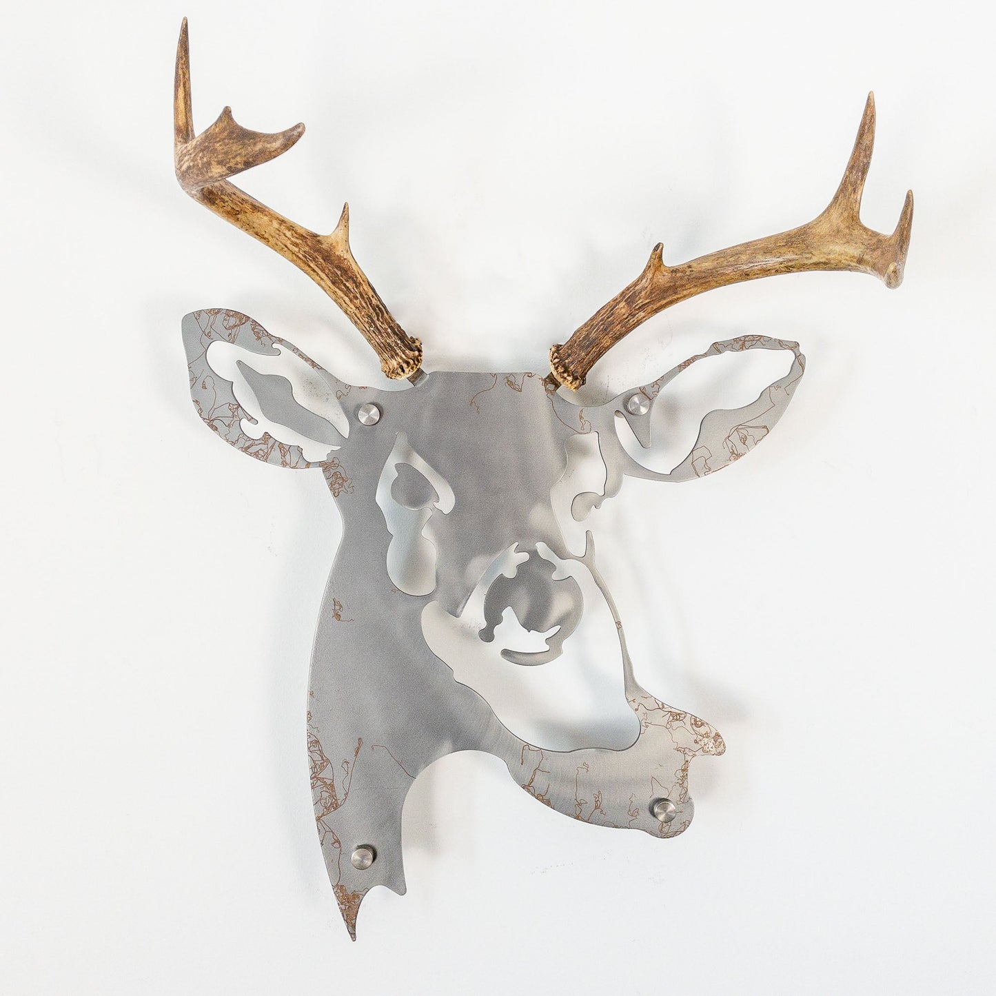 A metal wall decor made from real ethically sourced White-Tailed Deer antlers mounted on a metal head