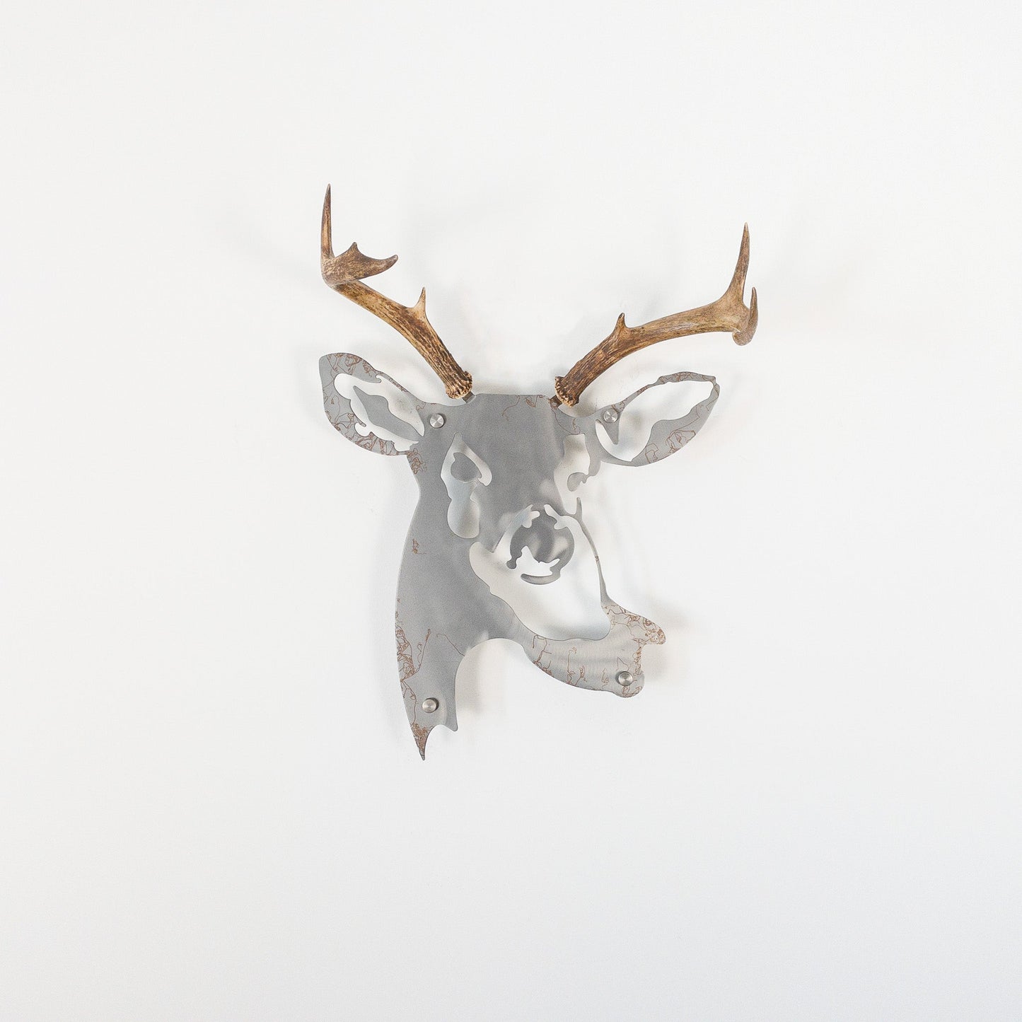 A metal wall decor made from real ethically sourced White-Tailed Deer antlers mounted on a metal head