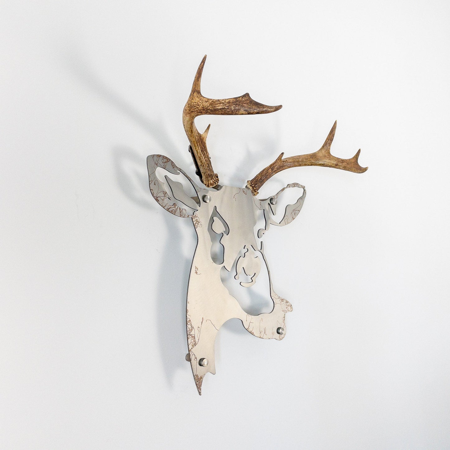 A metal wall decor made from real ethically sourced White-Tailed Deer antlers mounted on a metal head