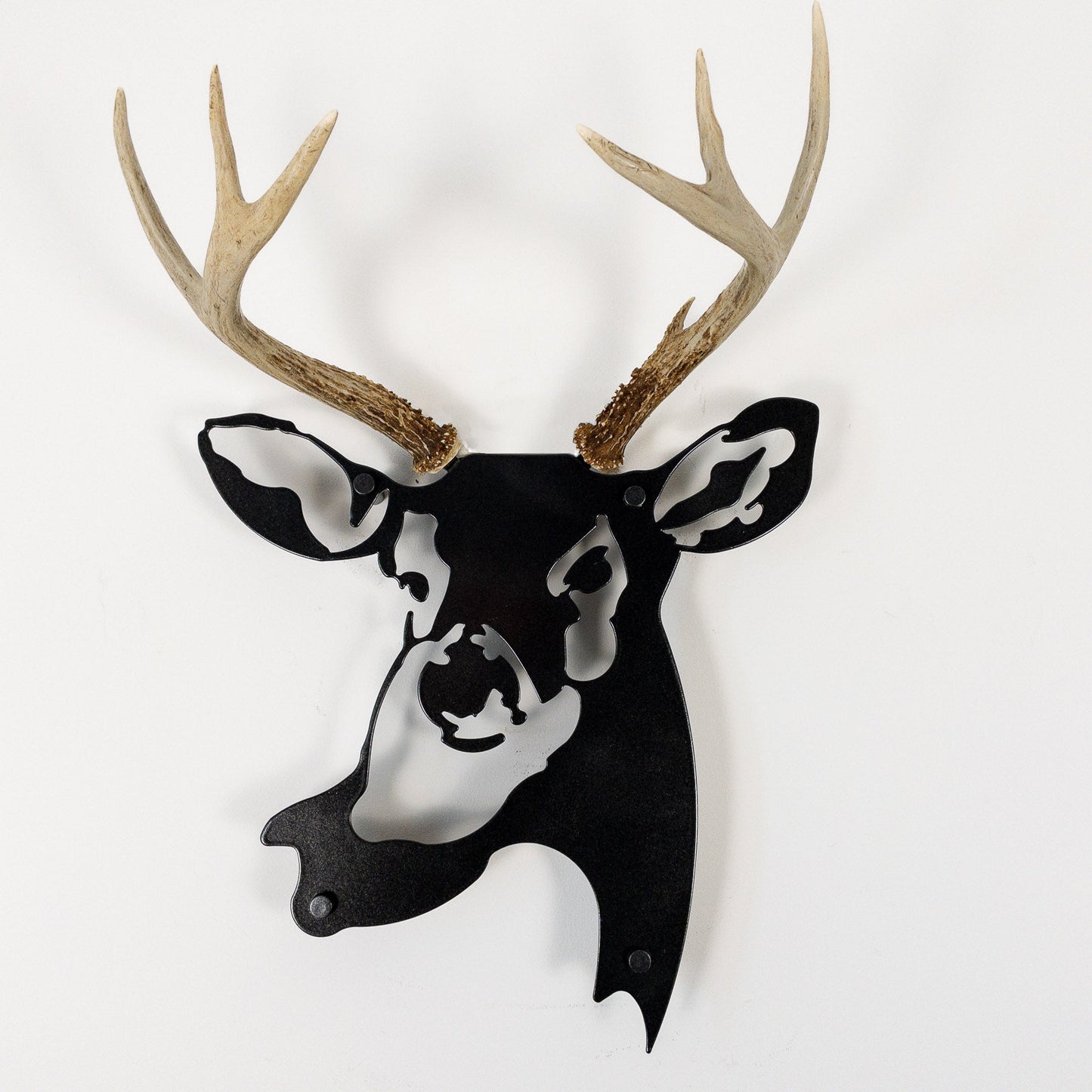 A metal wall decor made from real ethically sourced  White-Tailed Deer antlers mounted on a metal head