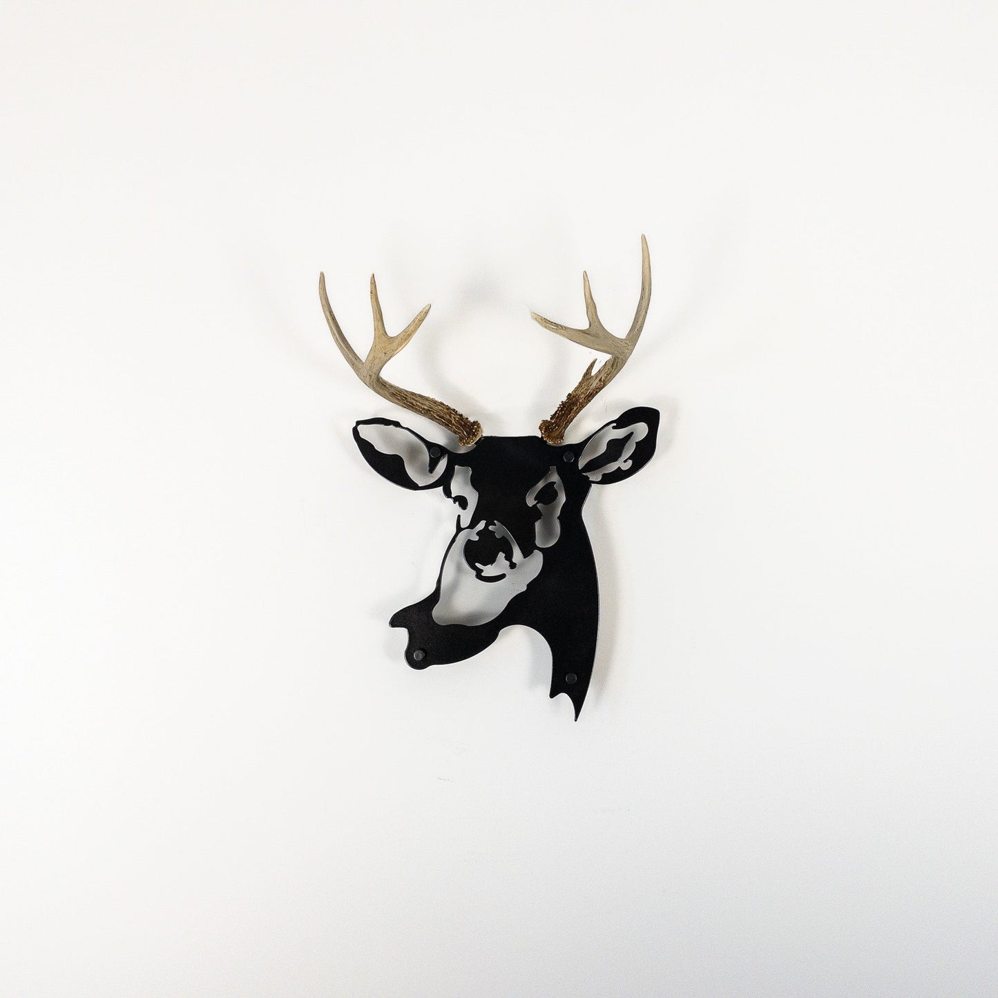 A metal wall decor made from real ethically sourced  White-Tailed Deer antlers mounted on a metal head