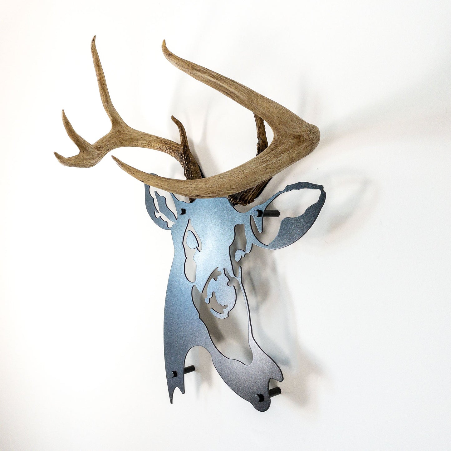 A metal wall decor made from real ethically sourced  White-Tailed Deer antlers mounted on a metal head