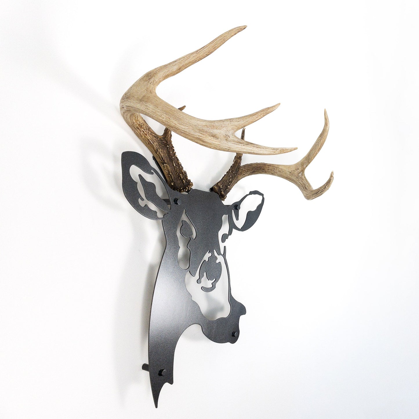 A metal wall decor made from real ethically sourced  White-Tailed Deer antlers mounted on a metal head