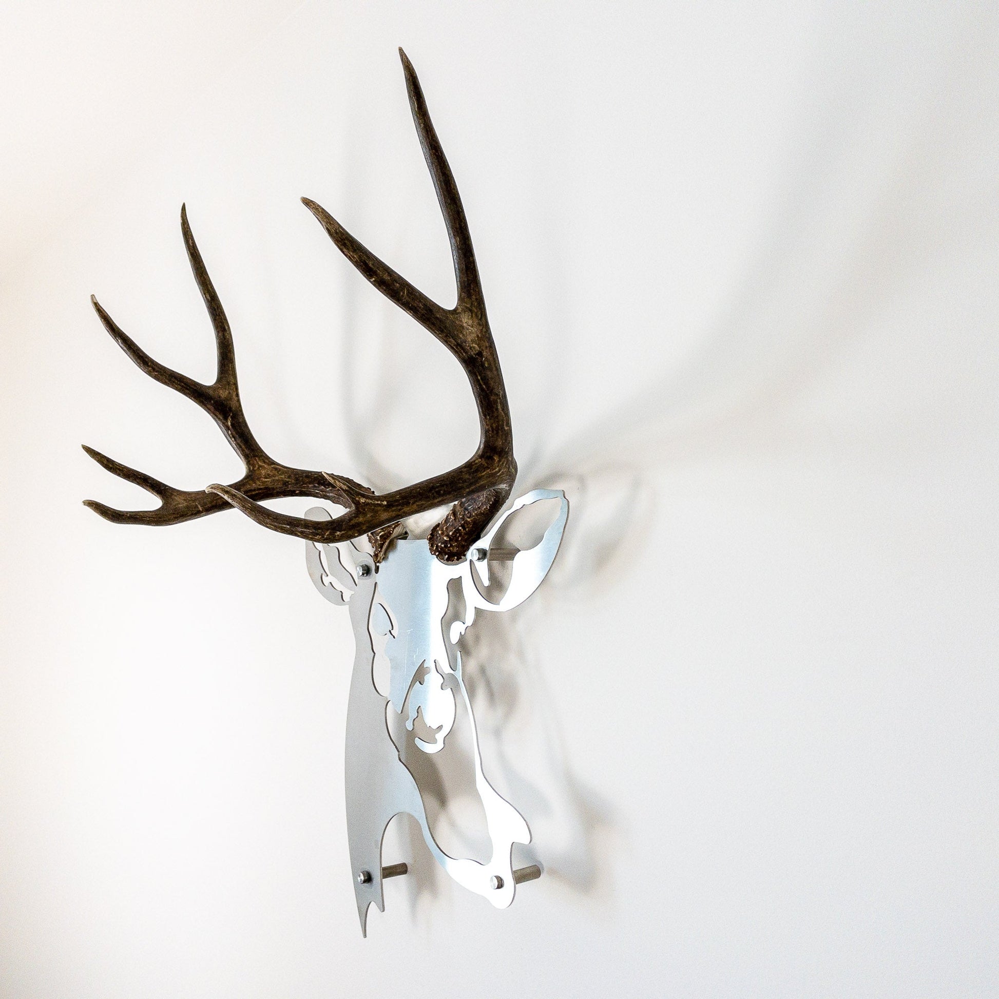A metal wall decor made from real ethically sourced  Mule Deer antlers mounted on a metal head