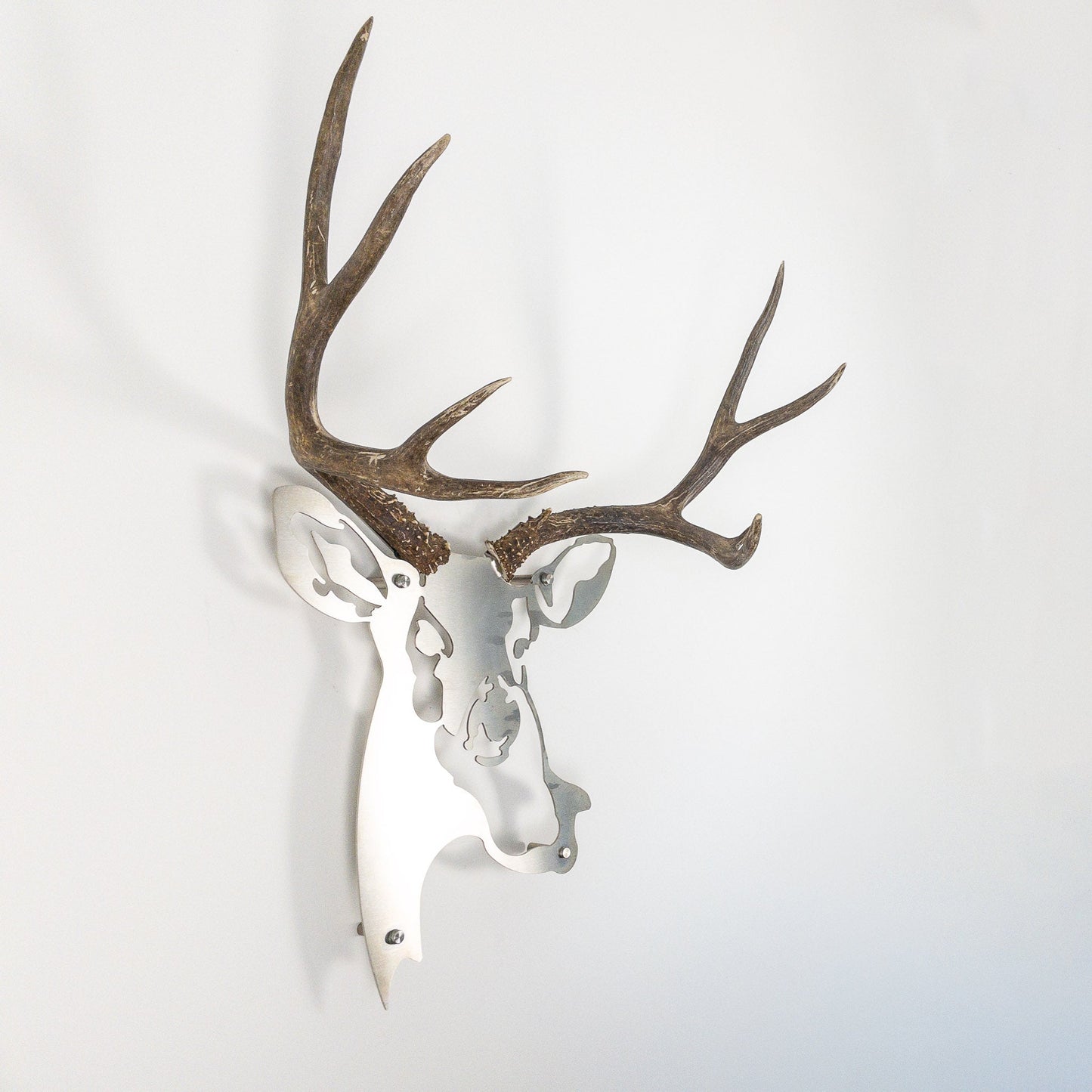 A metal wall decor made from real ethically sourced  Mule Deer antlers mounted on a metal head