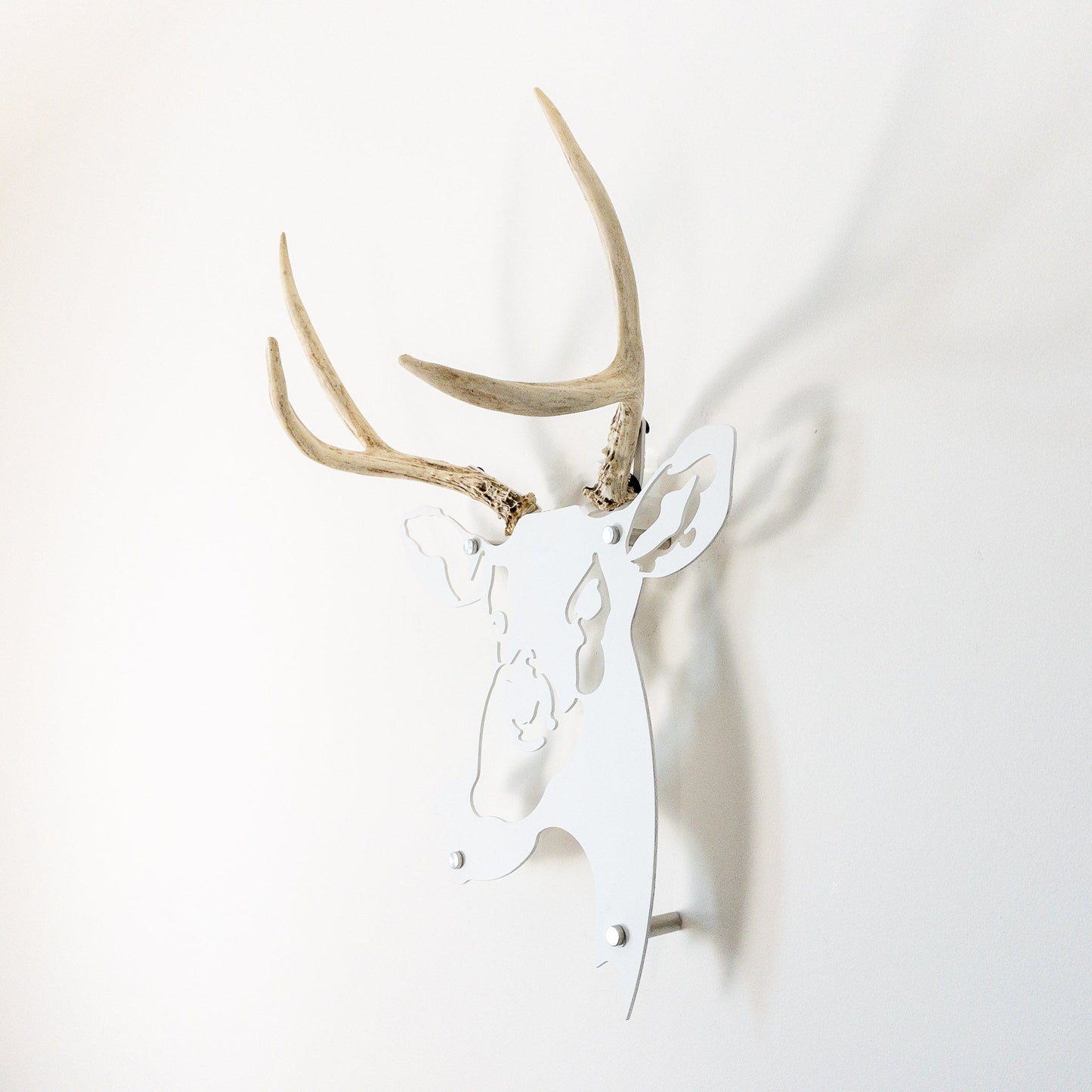 A metal wall decor made from real ethically sourced  White-Tailed Deer antlers mounted on a metal head