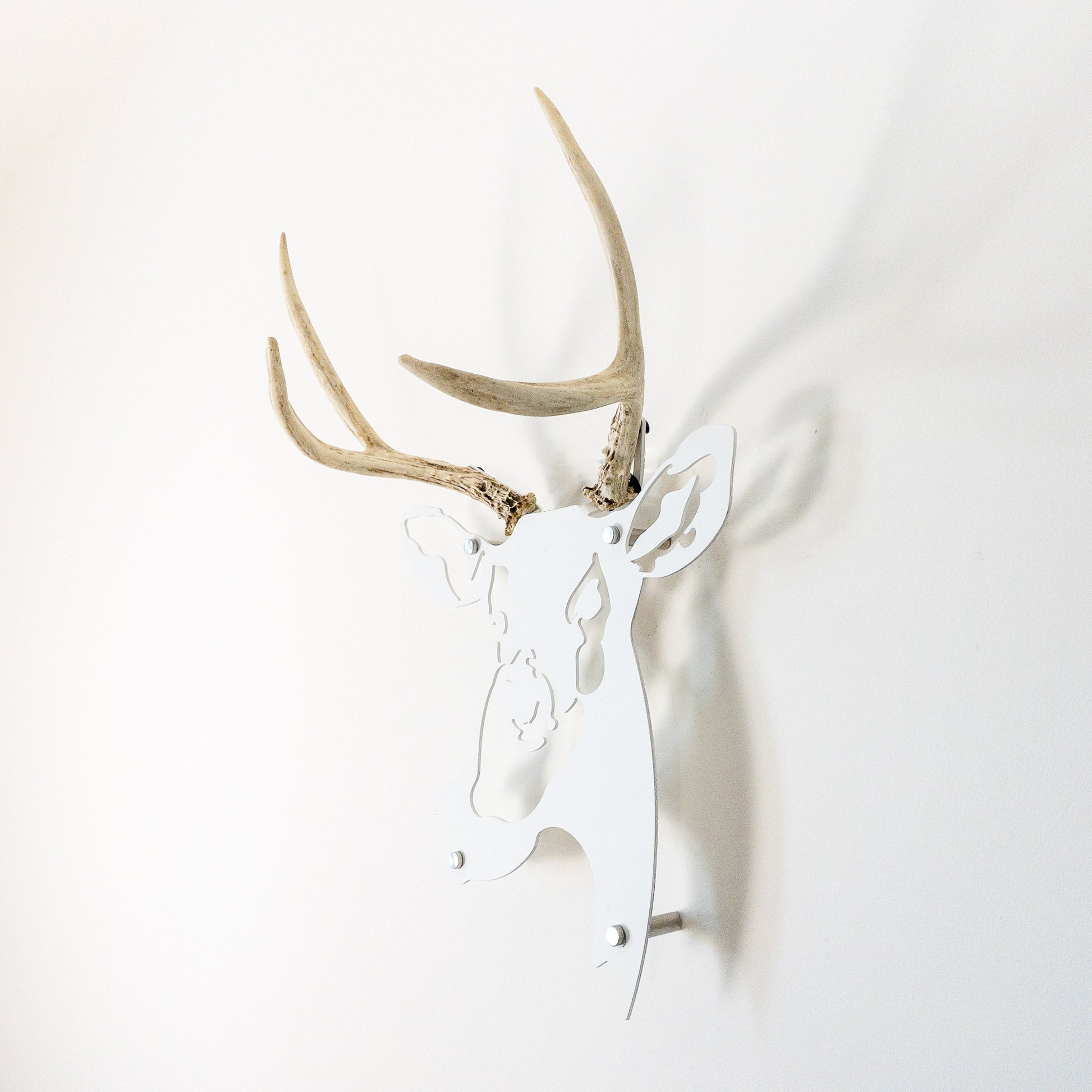 A metal wall decor made from real ethically sourced  White-Tailed Deer antlers mounted on a metal head