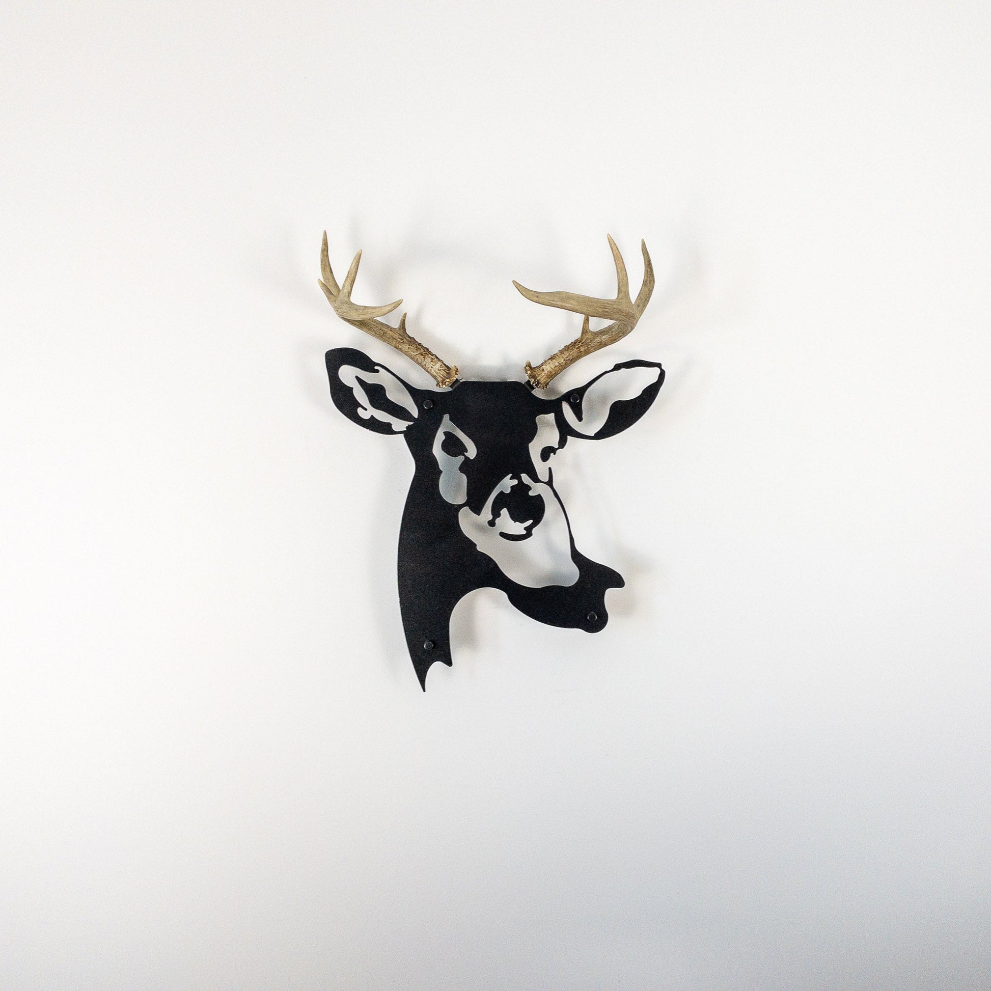 A metal wall decor made from real ethically sourced  White-Tailed Deer antlers mounted on a metal head