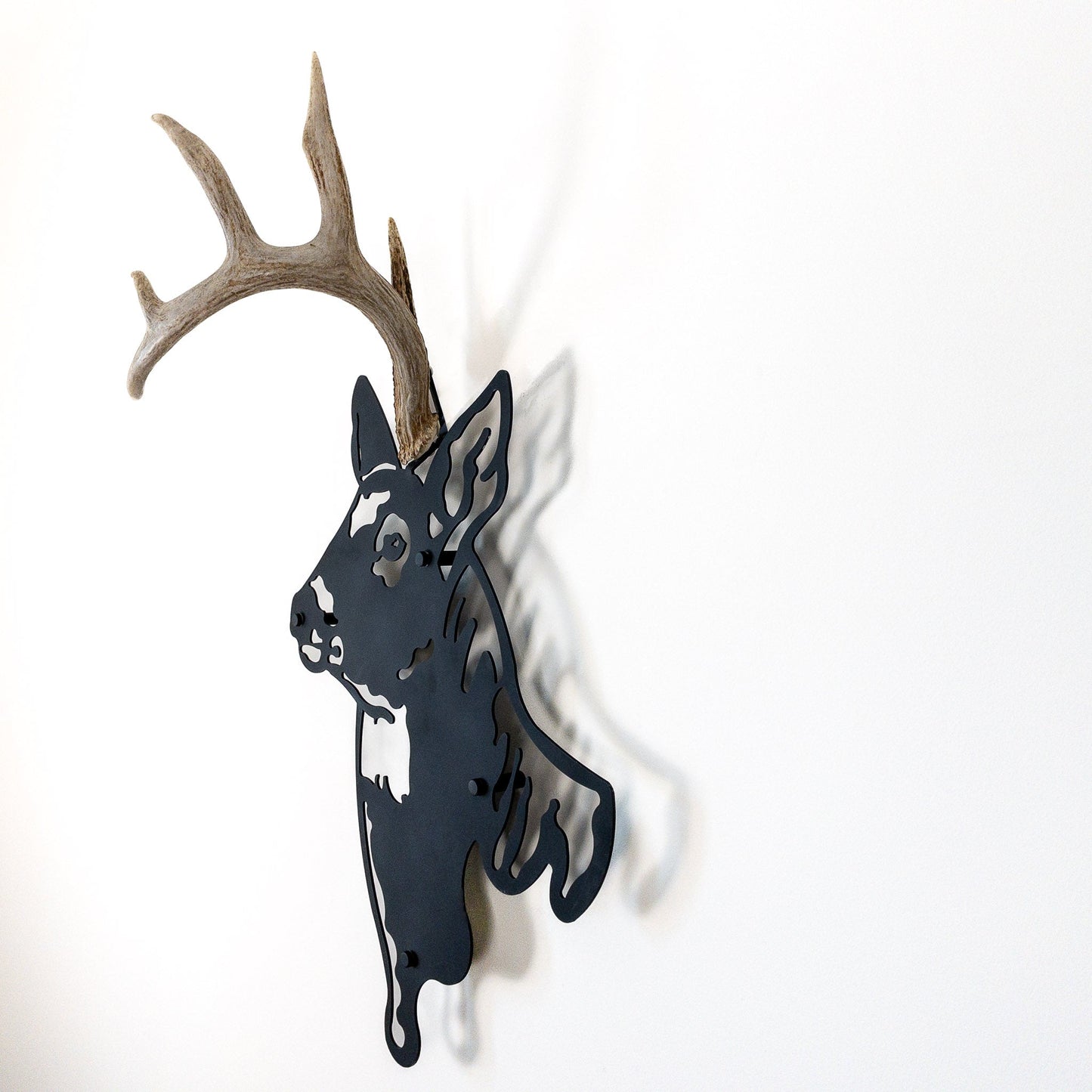 A metal wall decor made from real shed antler   White-Tailed Deer antlers mounted on a metal head