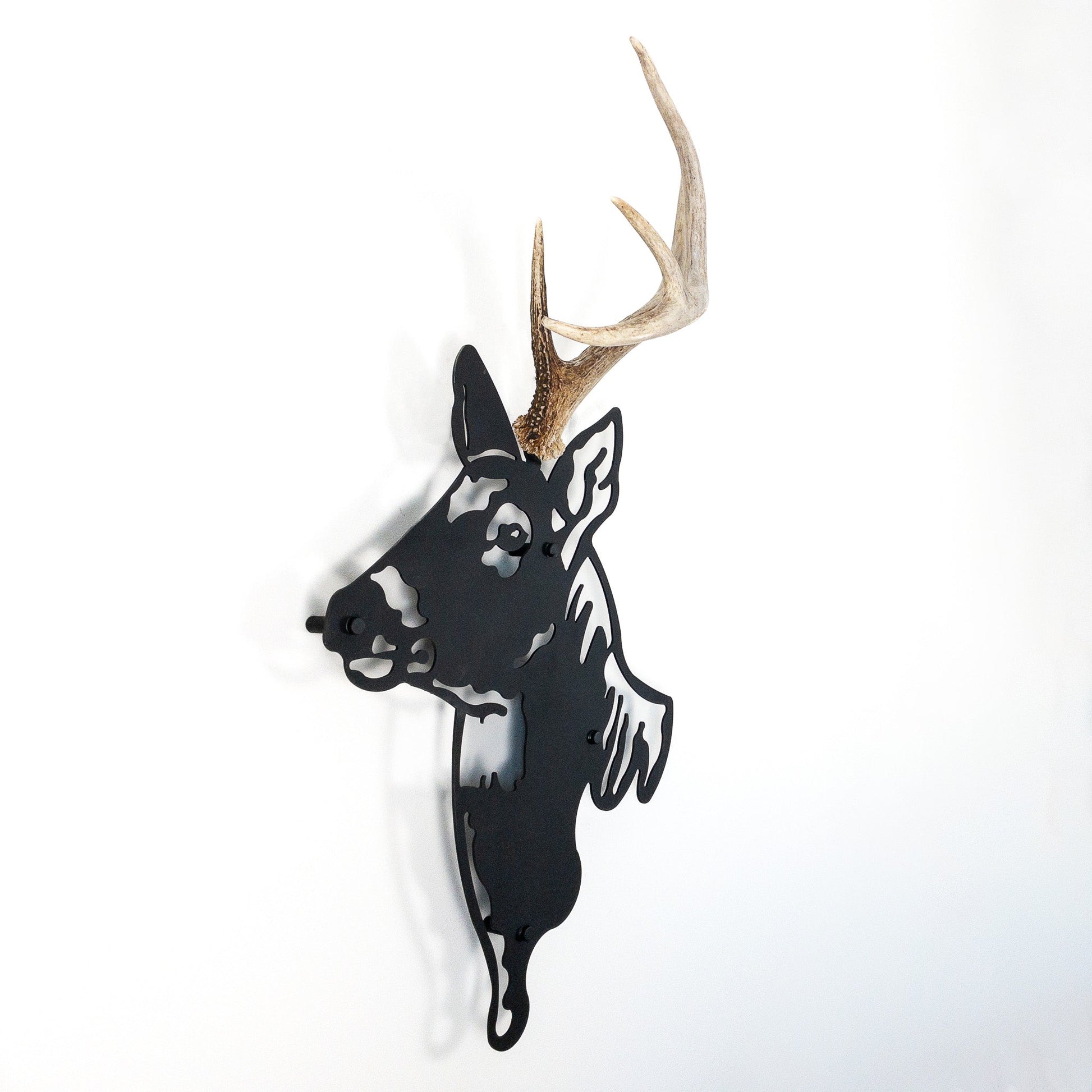 A metal wall decor made from real shed antler   White-Tailed Deer antlers mounted on a metal head