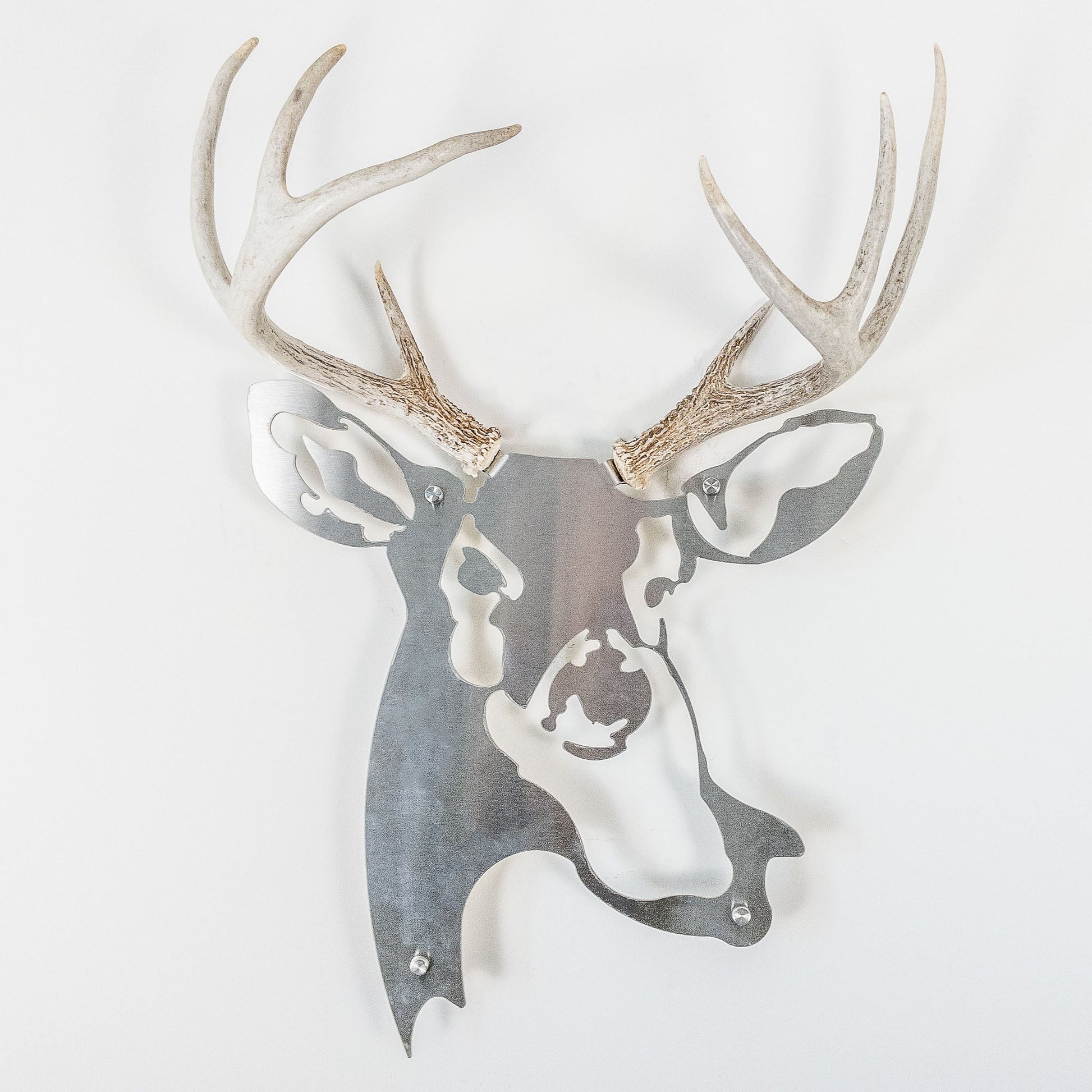 A metal wall decor made from real shed  White-Tailed Deer antlers mounted on a metal head