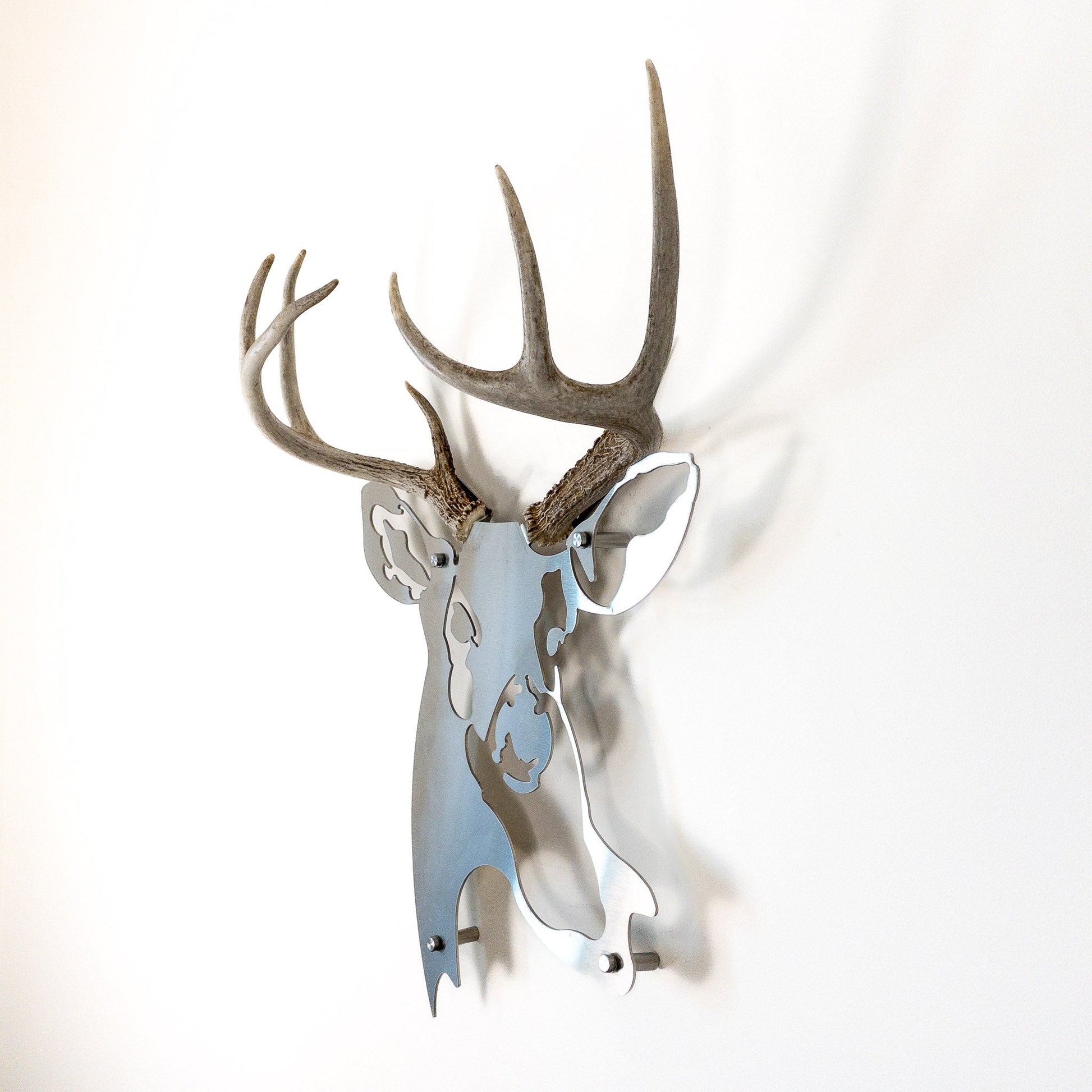 A metal wall decor made from real shed  White-Tailed Deer antlers mounted on a metal head