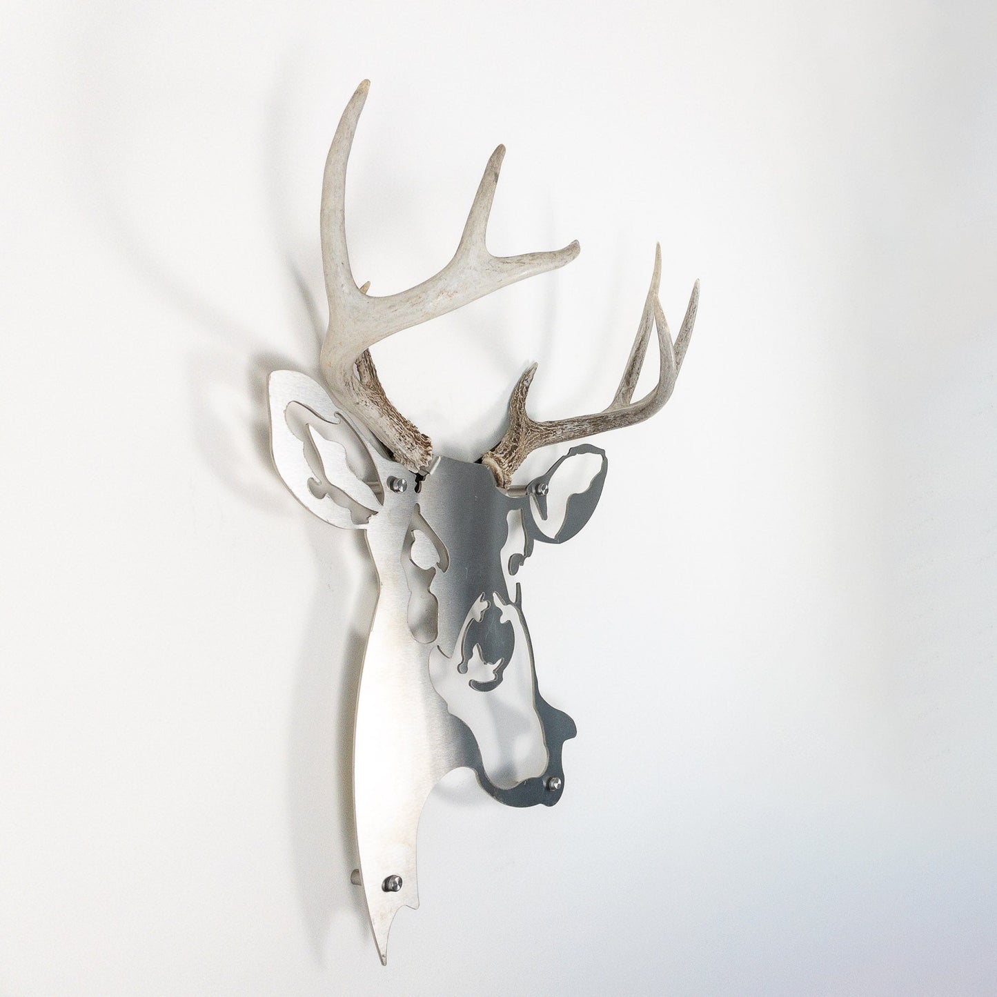 A metal wall decor made from real shed  White-Tailed Deer antlers mounted on a metal head