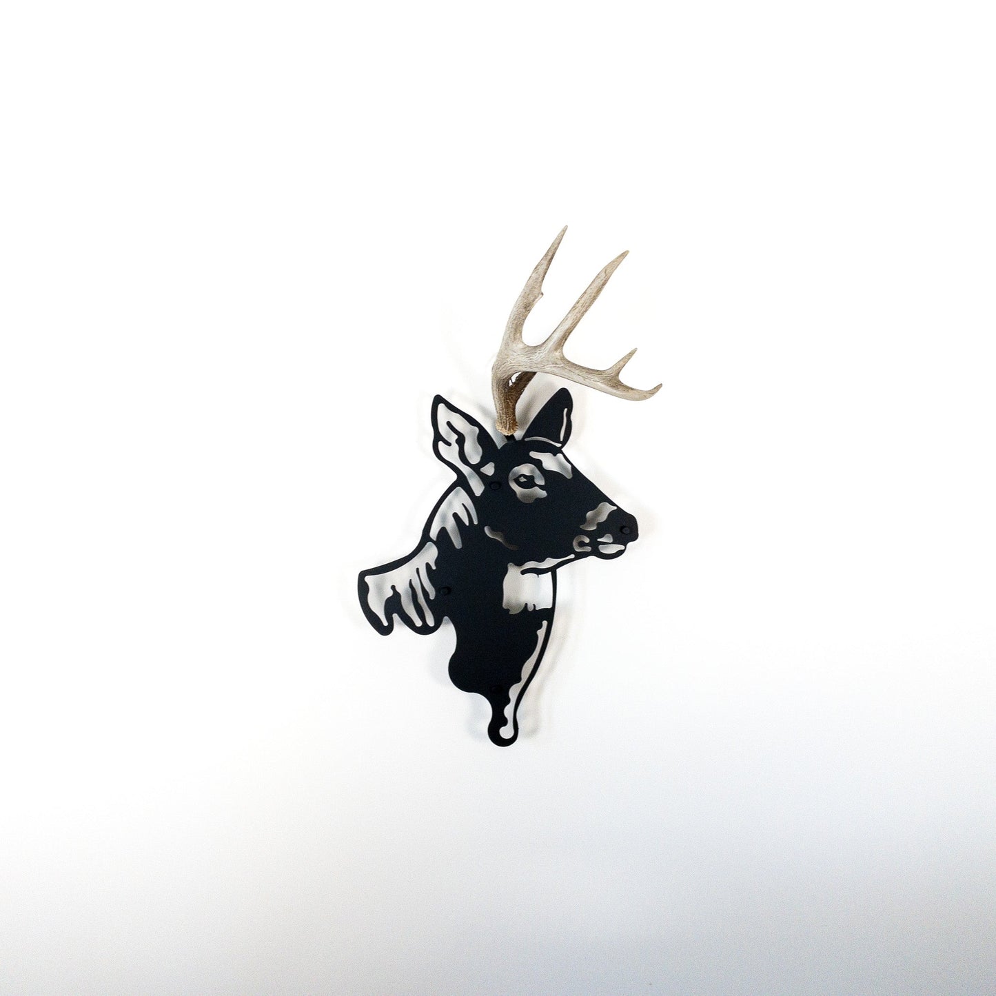 A metal wall decor made from real shed White-Tailed Deer antlers mounted on a metal head