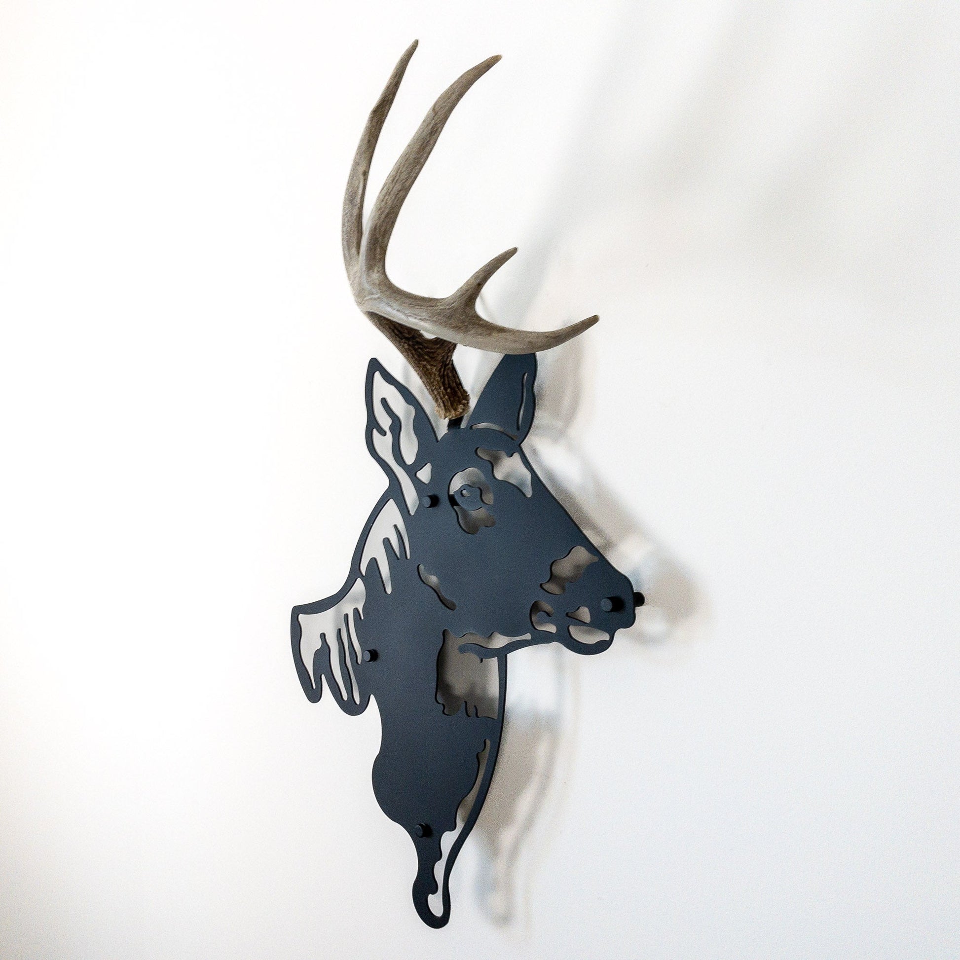 A metal wall decor made from real shed  White-Tailed Deer antlers mounted on a metal head
