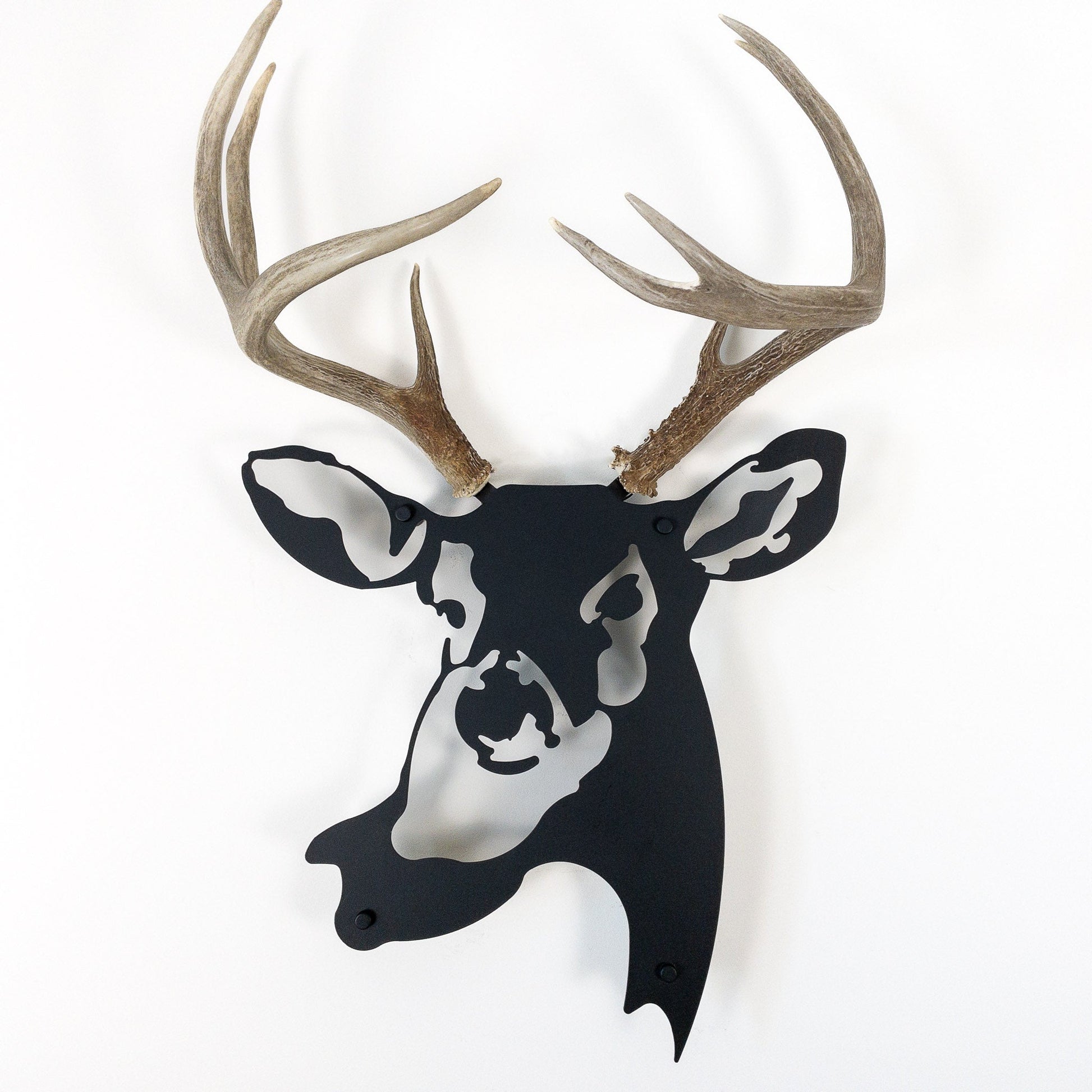 A metal wall decor made from real shed  White-Tailed Deer antlers mounted on a metal head