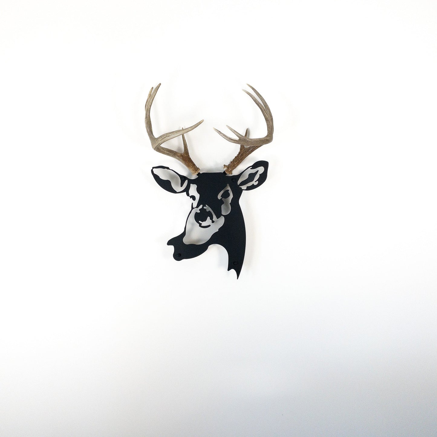 A metal wall decor made from real shed White-Tailed Deer antlers mounted on a metal head