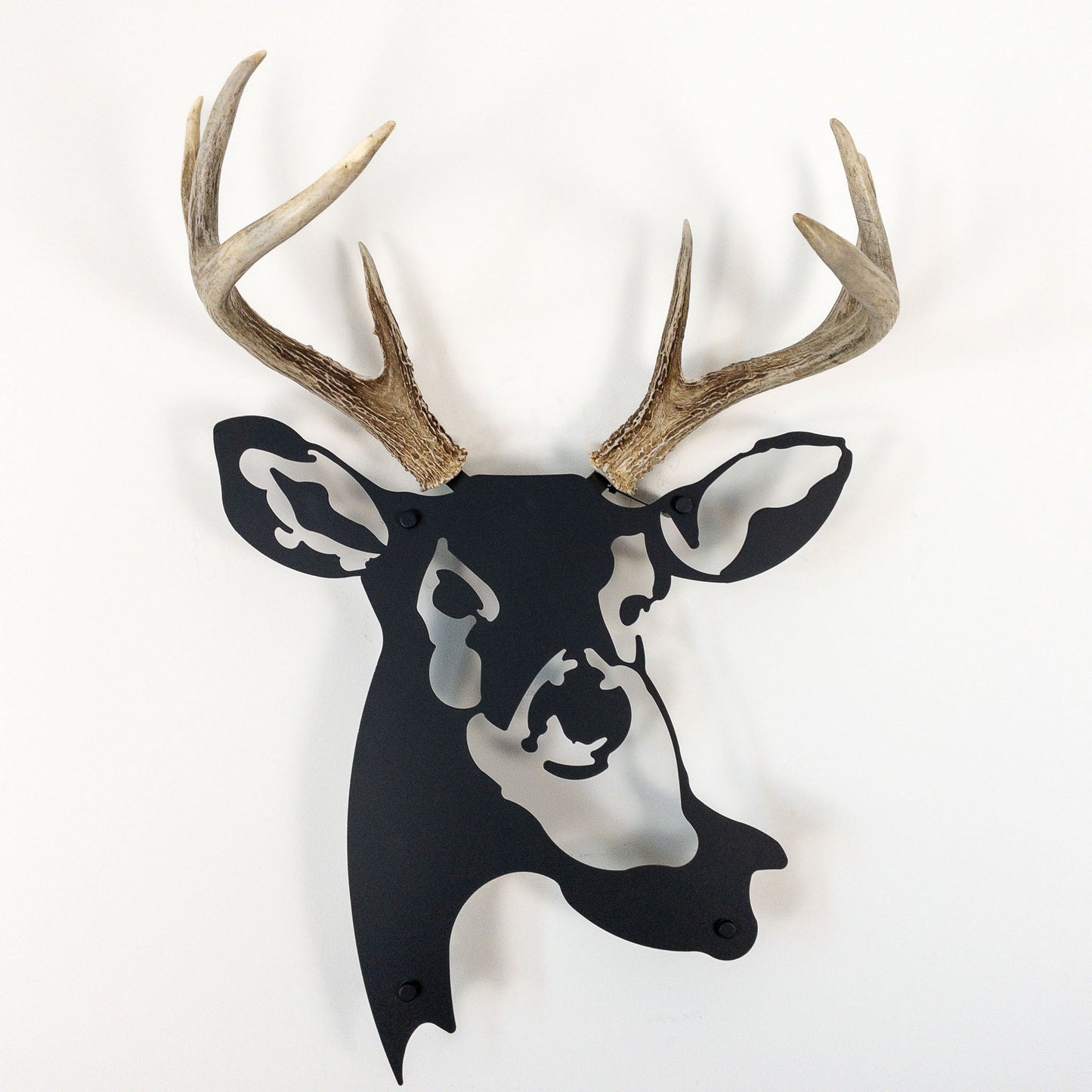 A metal wall decor made from real shed  White-Tailed Deer antlers mounted on a metal head