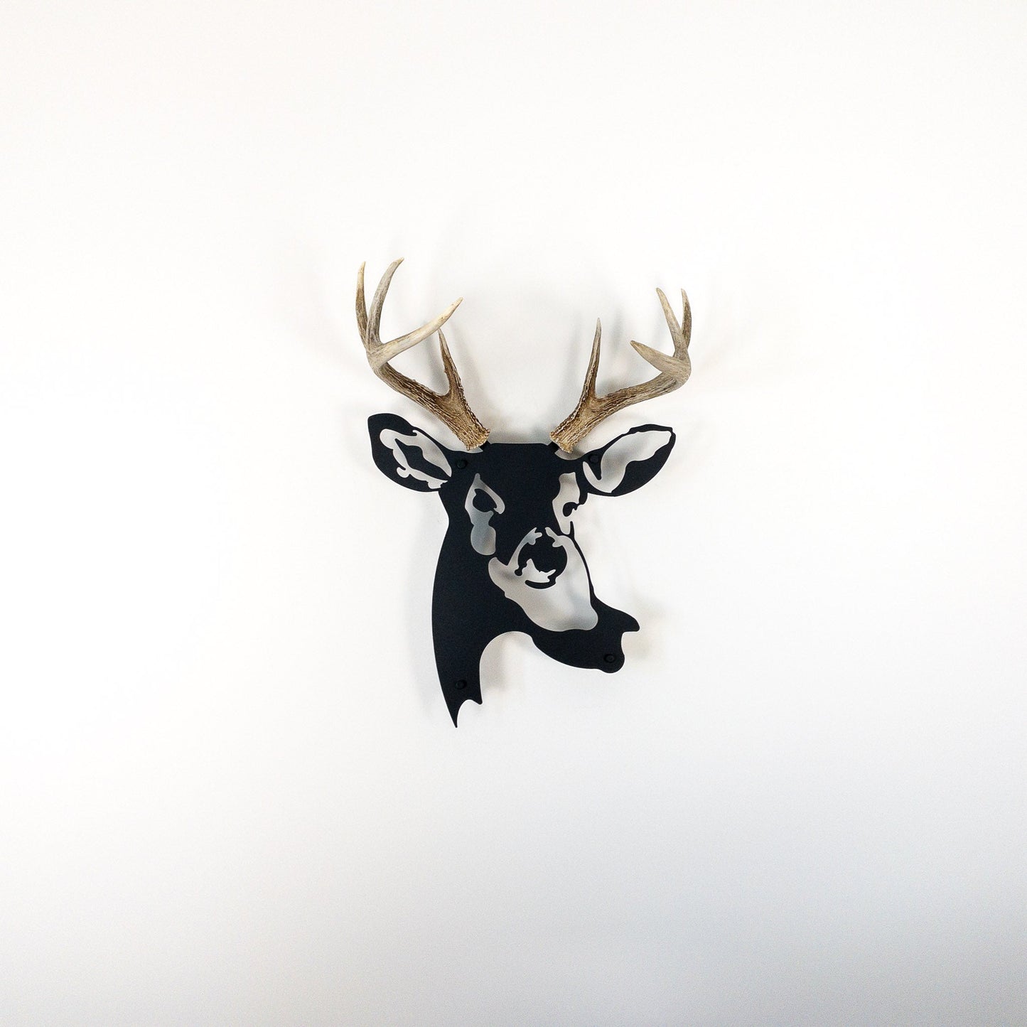 A metal wall decor made from real shed  White-Tailed Deer antlers mounted on a metal head