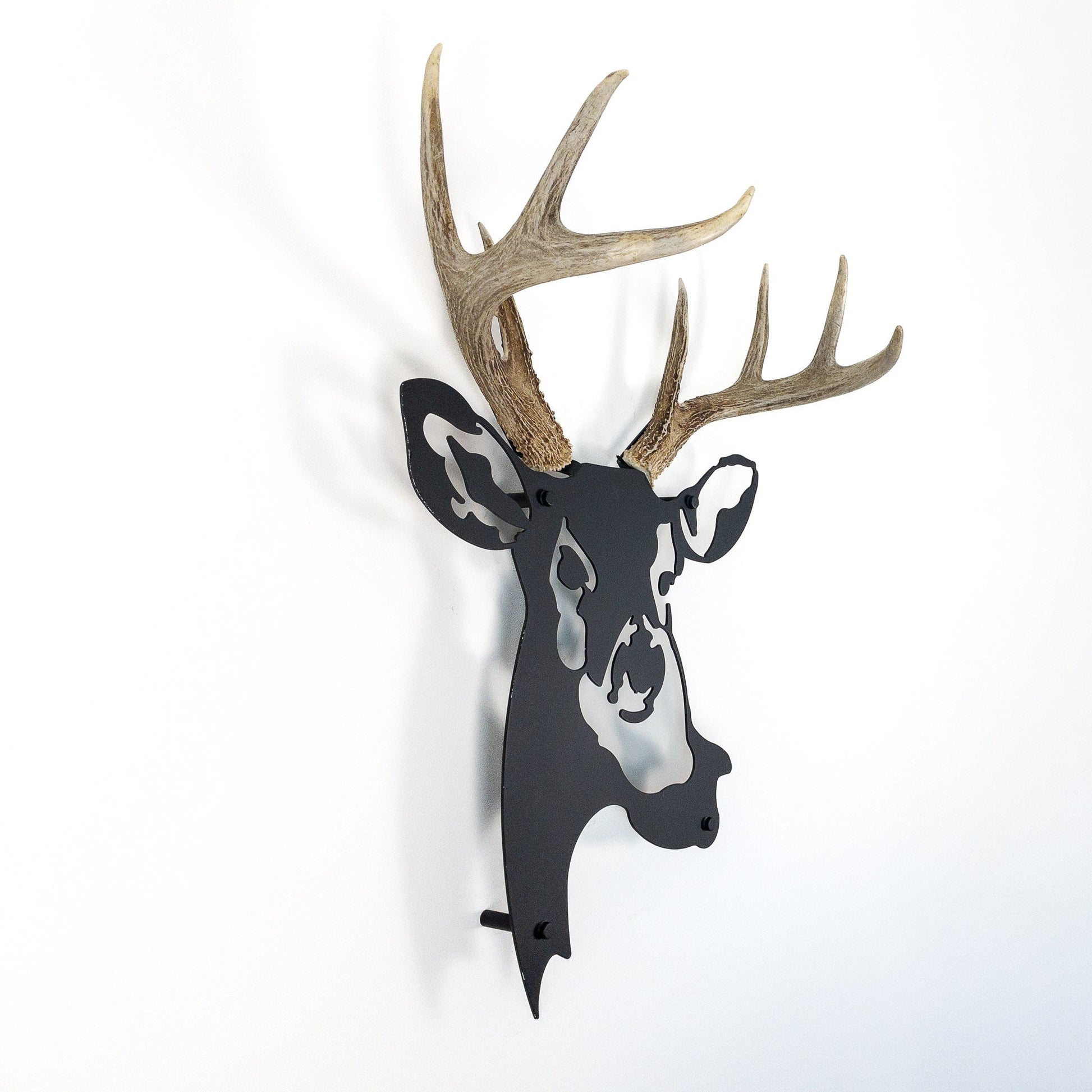 A metal wall decor made from real shed  White-Tailed Deer antlers mounted on a metal head