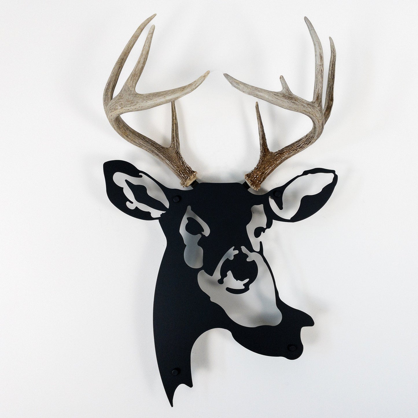 A metal wall decor made from real shed  White-Tailed Deer antlers mounted on a metal head