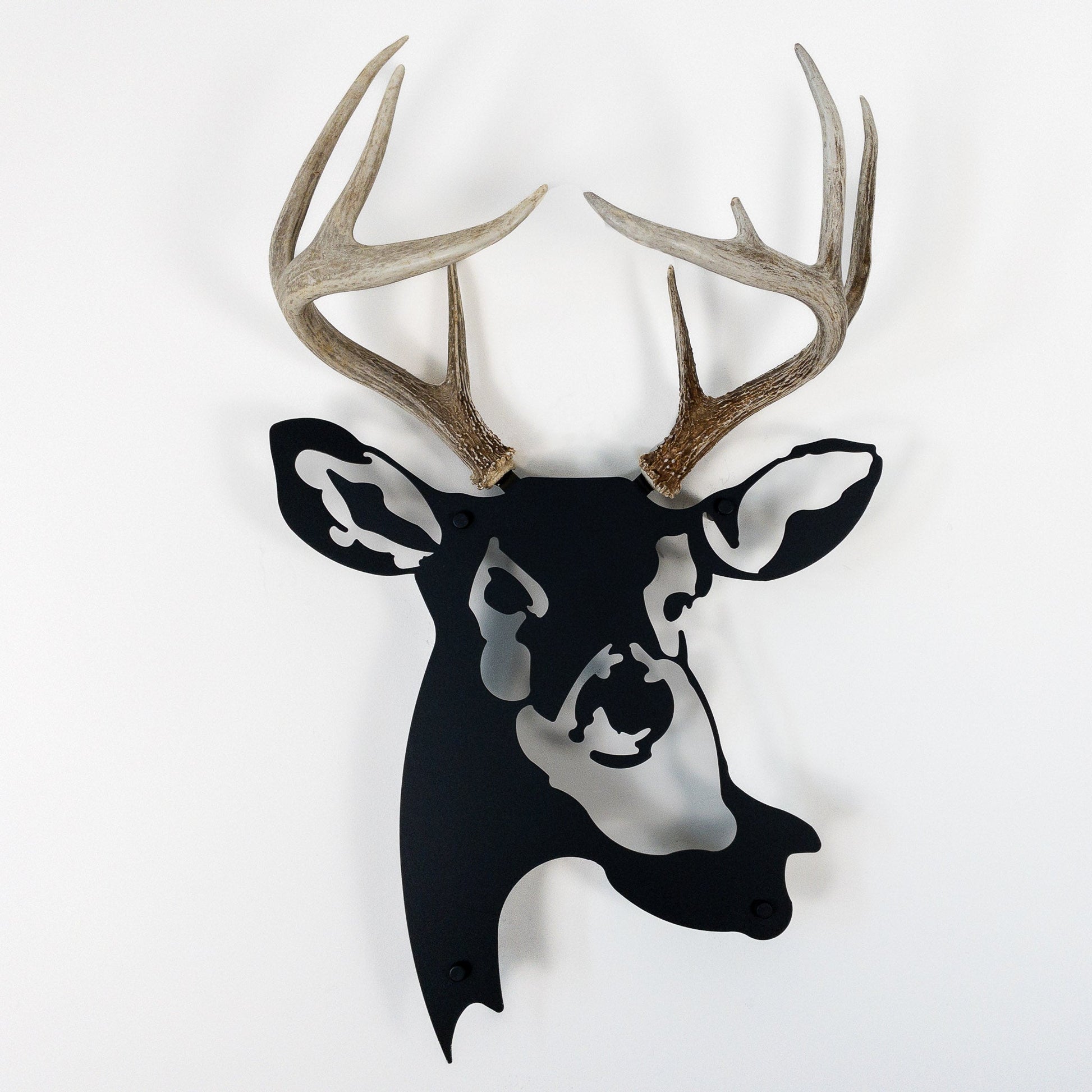 A metal wall decor made from real shed  White-Tailed Deer antlers mounted on a metal head