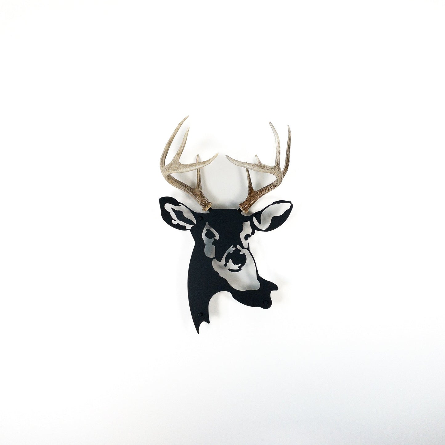 A metal wall decor made from real shed  White-Tailed Deer antlers mounted on a metal head